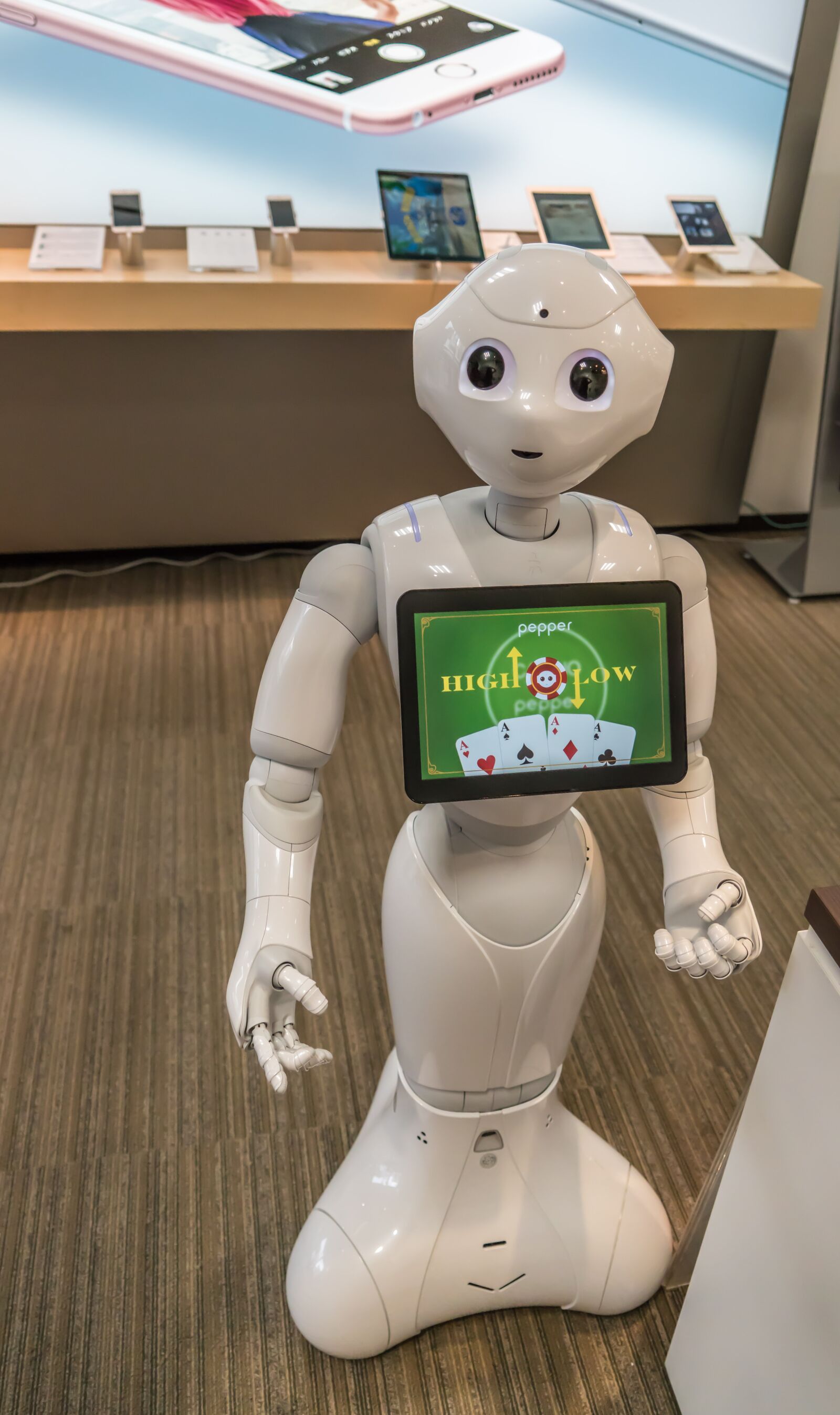Sony a7R II + Sony FE 24-240mm F3.5-6.3 OSS sample photo. Robot, japan, japanese photography