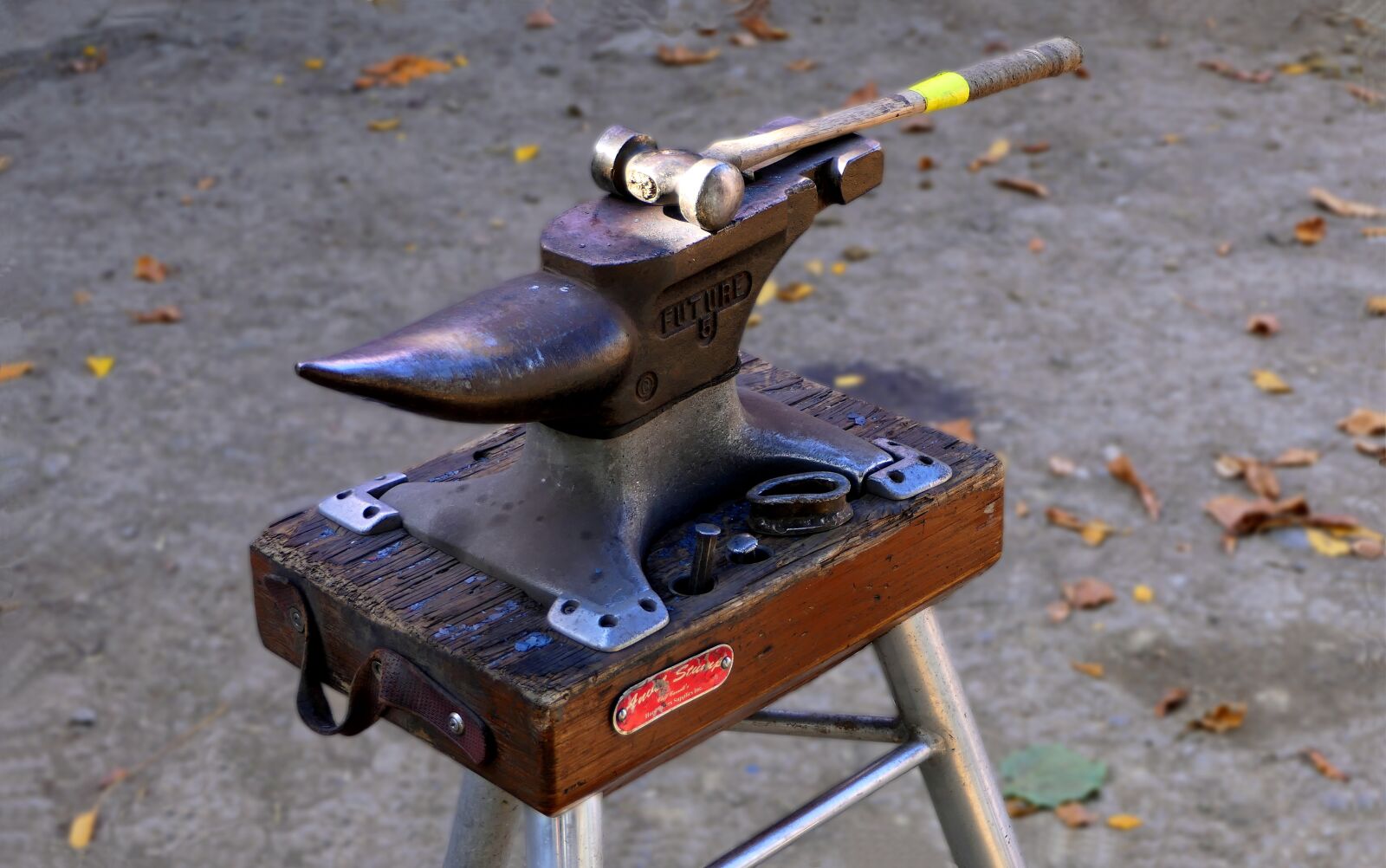 Panasonic Lumix DMC-FZ2500 (Lumix DMC-FZ2000) sample photo. Anvil, hammer, business photography