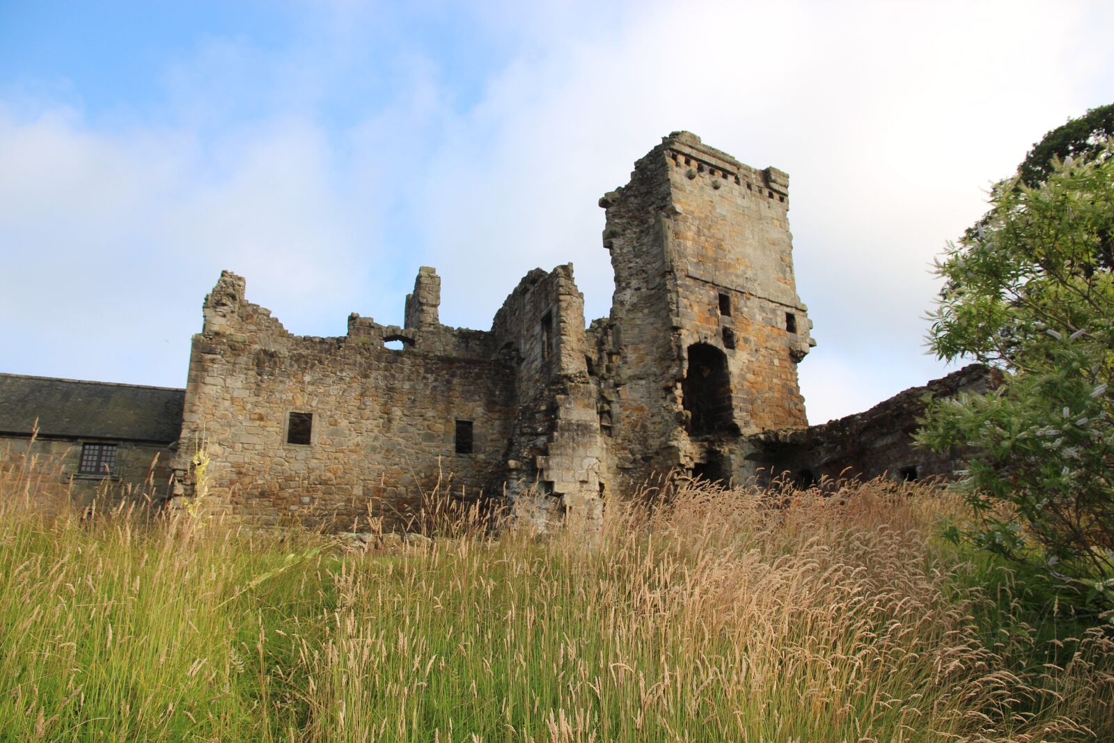 Canon EOS 700D (EOS Rebel T5i / EOS Kiss X7i) sample photo. Aberdour, castle, fife photography