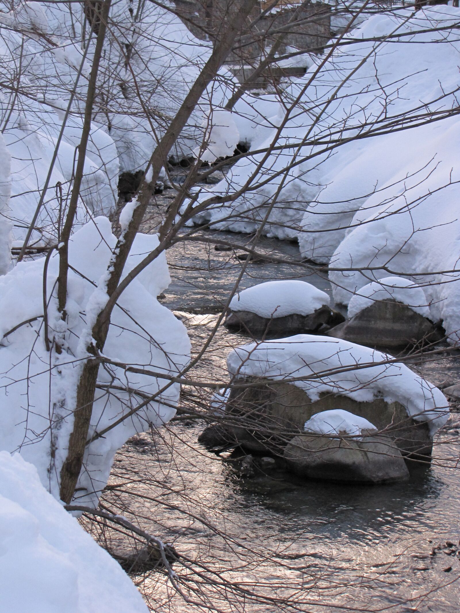 Canon PowerShot SX10 IS sample photo. Winter, snow, trail photography