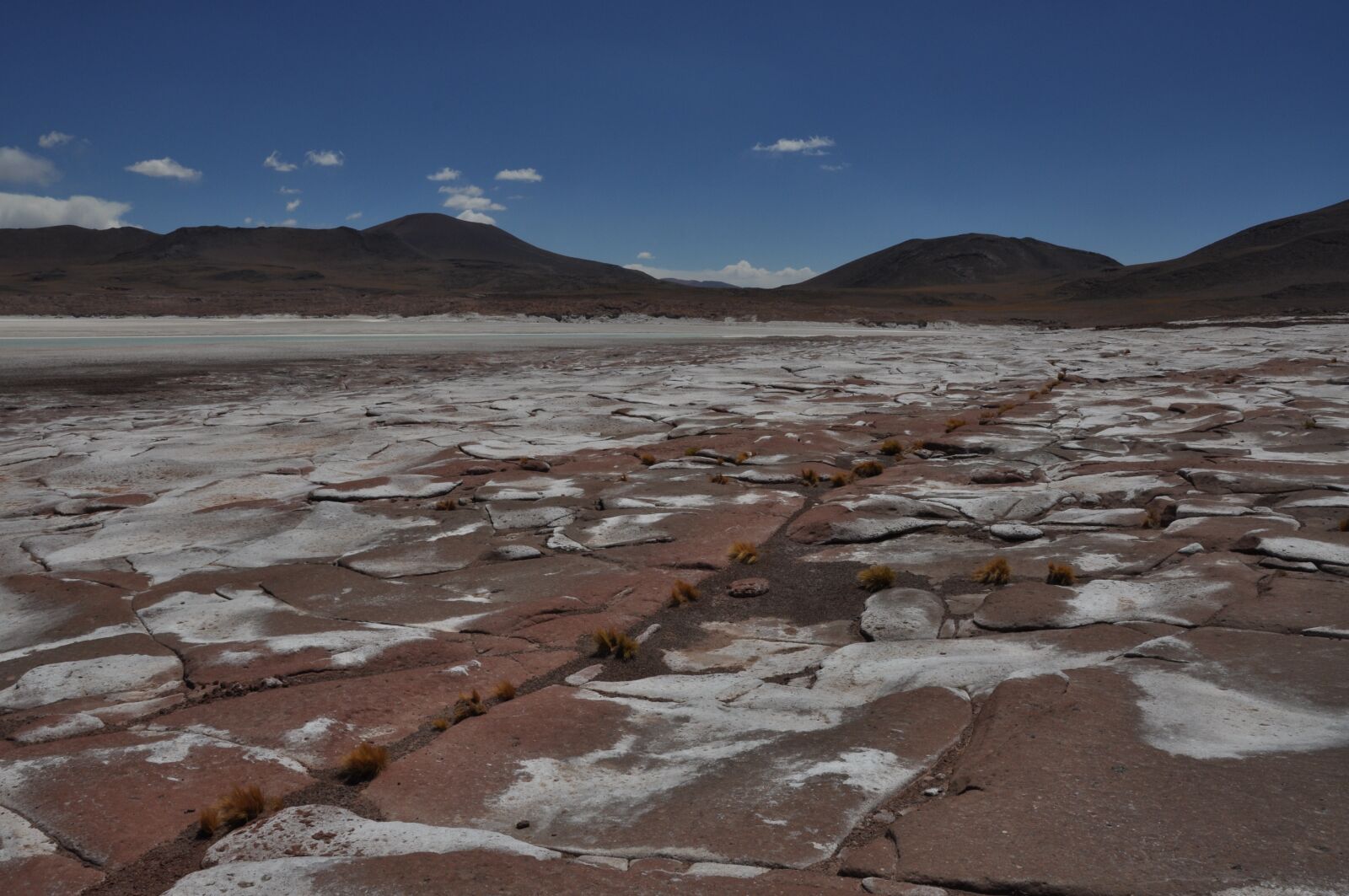 Nikon D90 sample photo. Puna, landscape, desert photography
