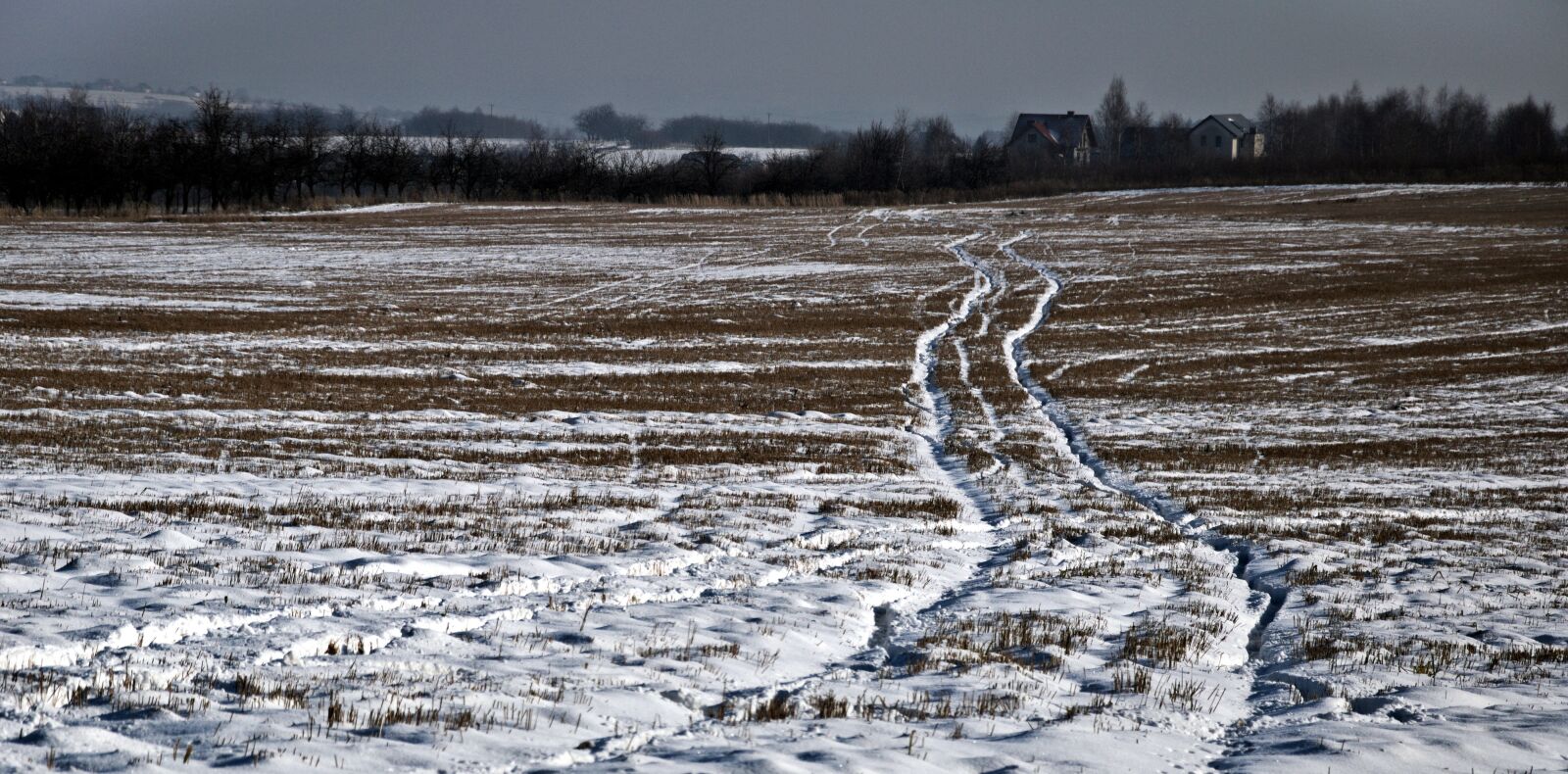 Nikon D90 sample photo. Way, winter, target photography
