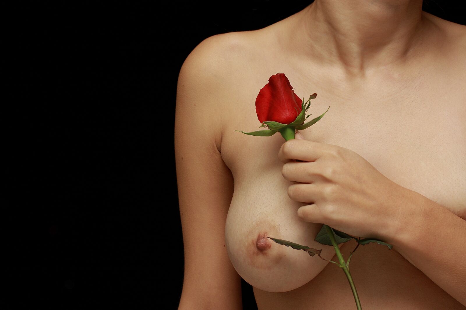 Canon EOS 40D sample photo. Chest, rose, love photography