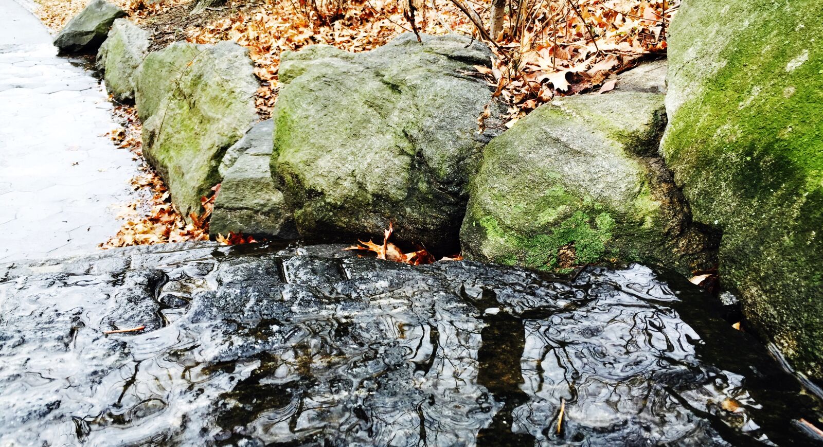 iPhone 6 back camera 4.15mm f/2.2 sample photo. Central, park, new, york photography
