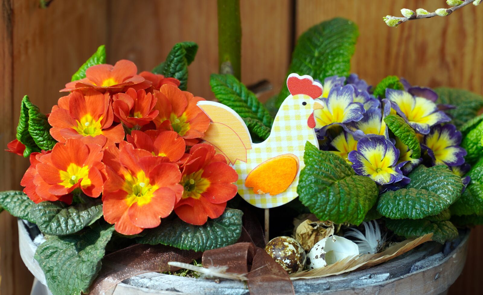 Sony E PZ 18-105mm F4 G OSS sample photo. Primroses, blossom, bloom photography