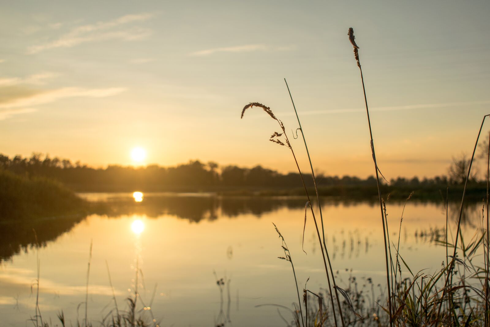 Nikon D3300 sample photo. River, west, the sun photography