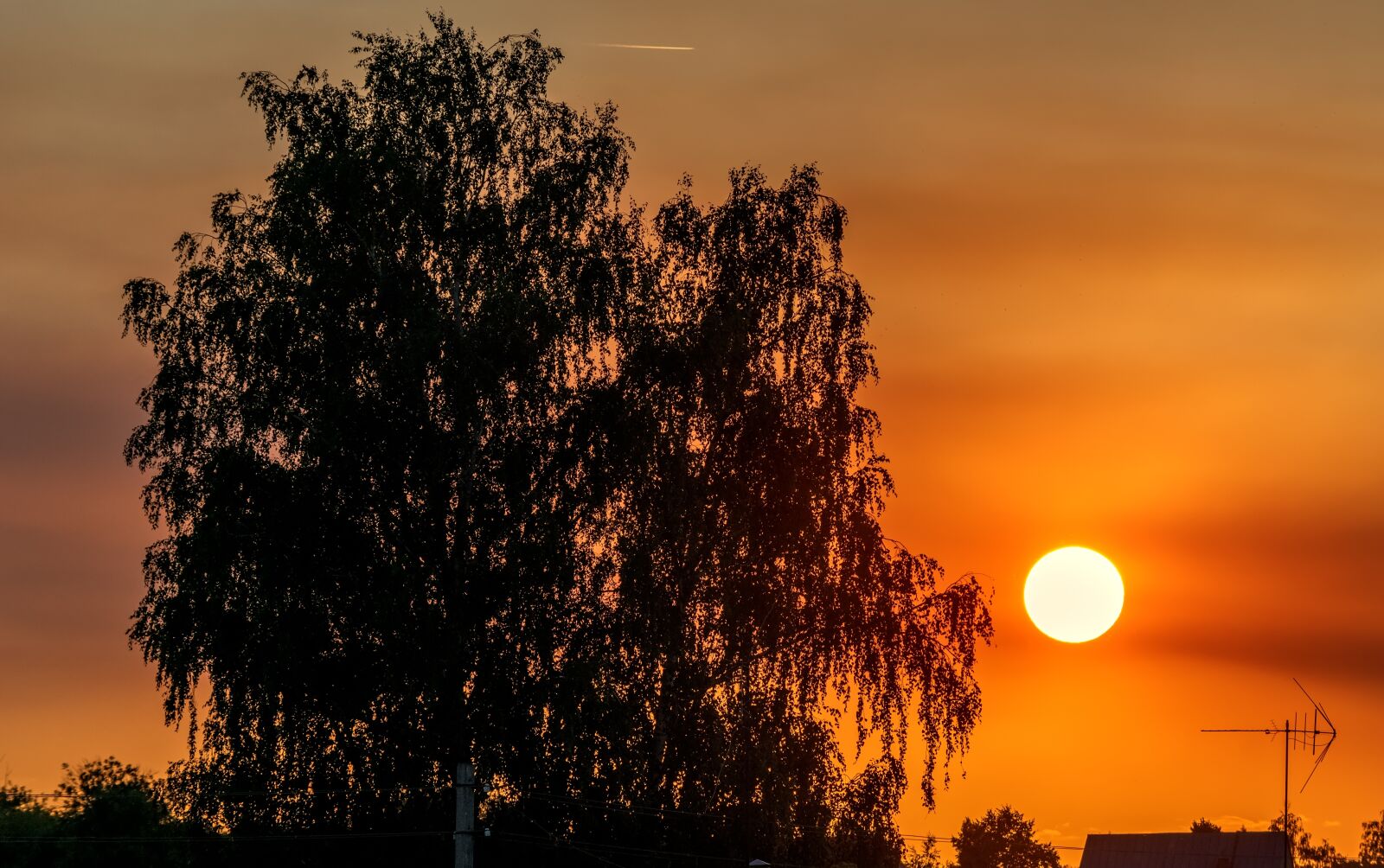 Nikon D3300 sample photo. Sunset, summer, nature photography