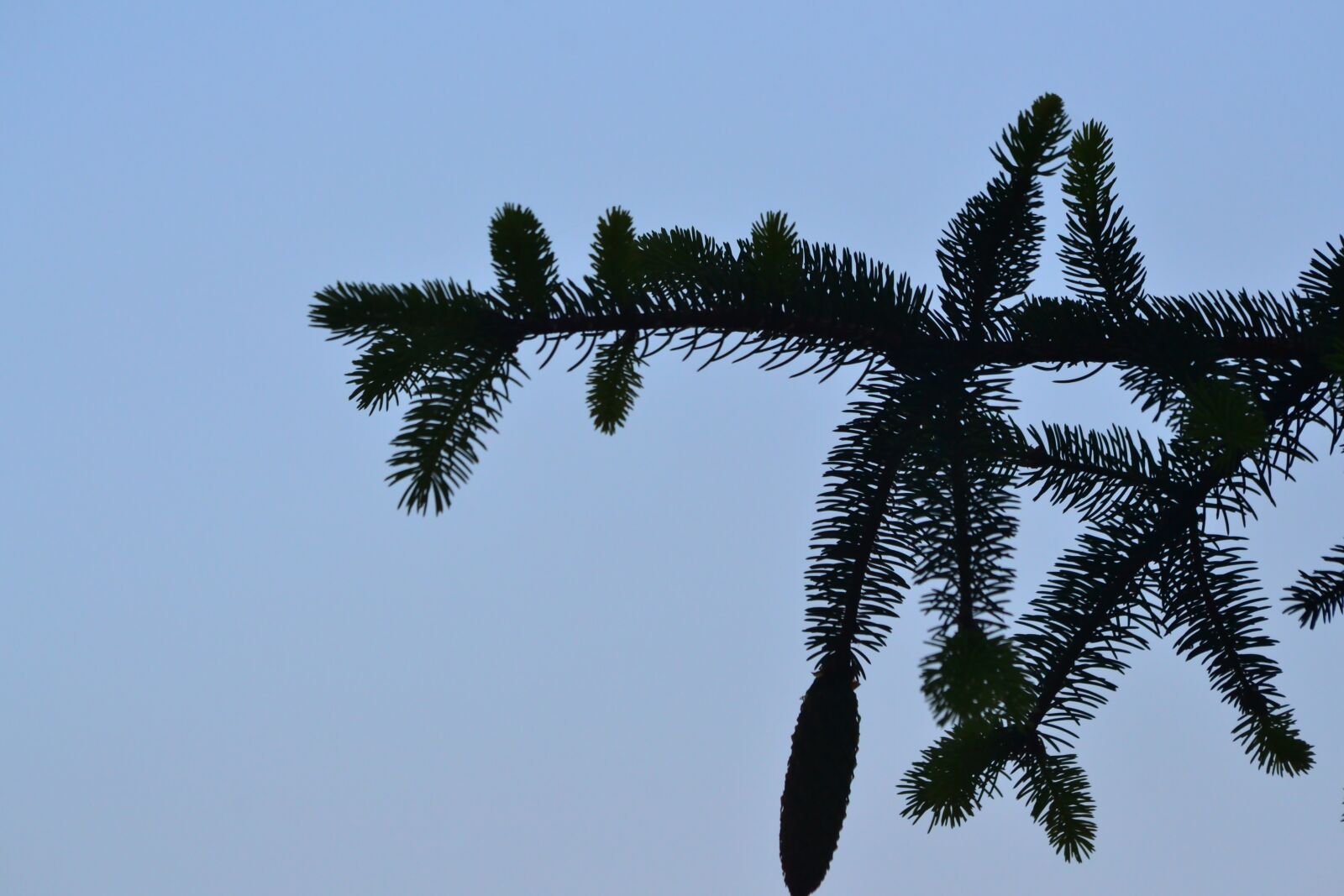 Nikon D3100 sample photo. Turkey, bursa, nilufer photography