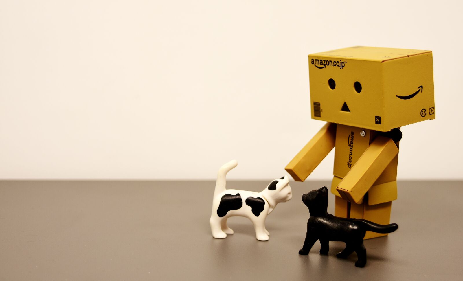 Nikon D7200 sample photo. Danbo, cat, funny photography