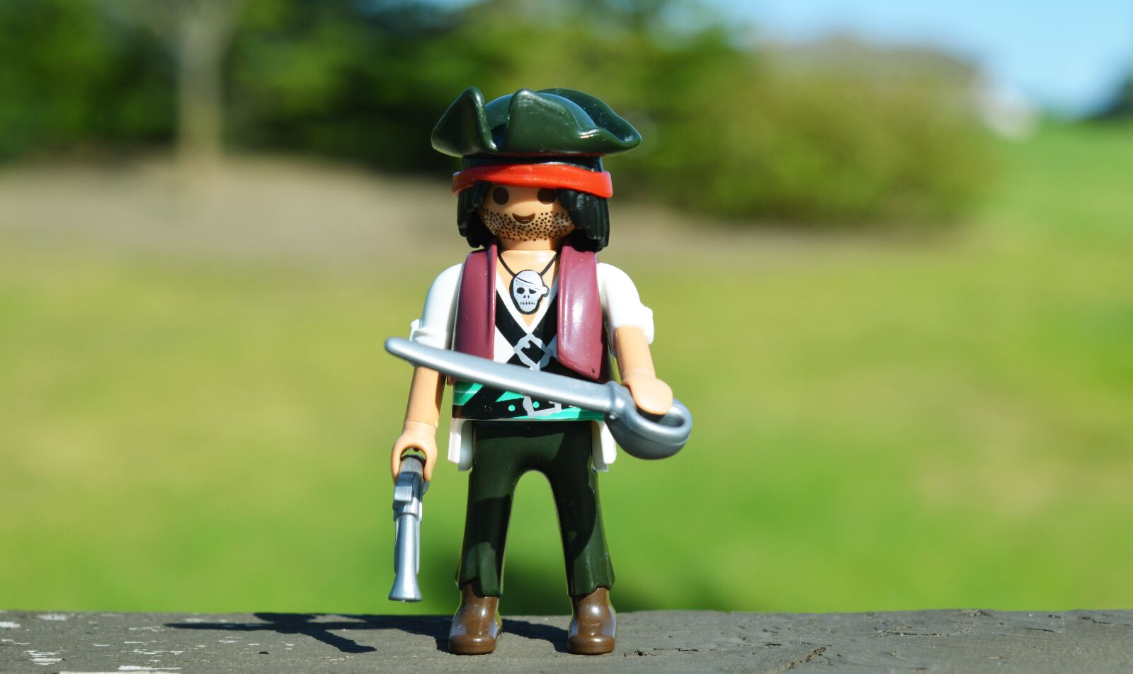 Nikon D3200 sample photo. Pirate, toy, sword photography
