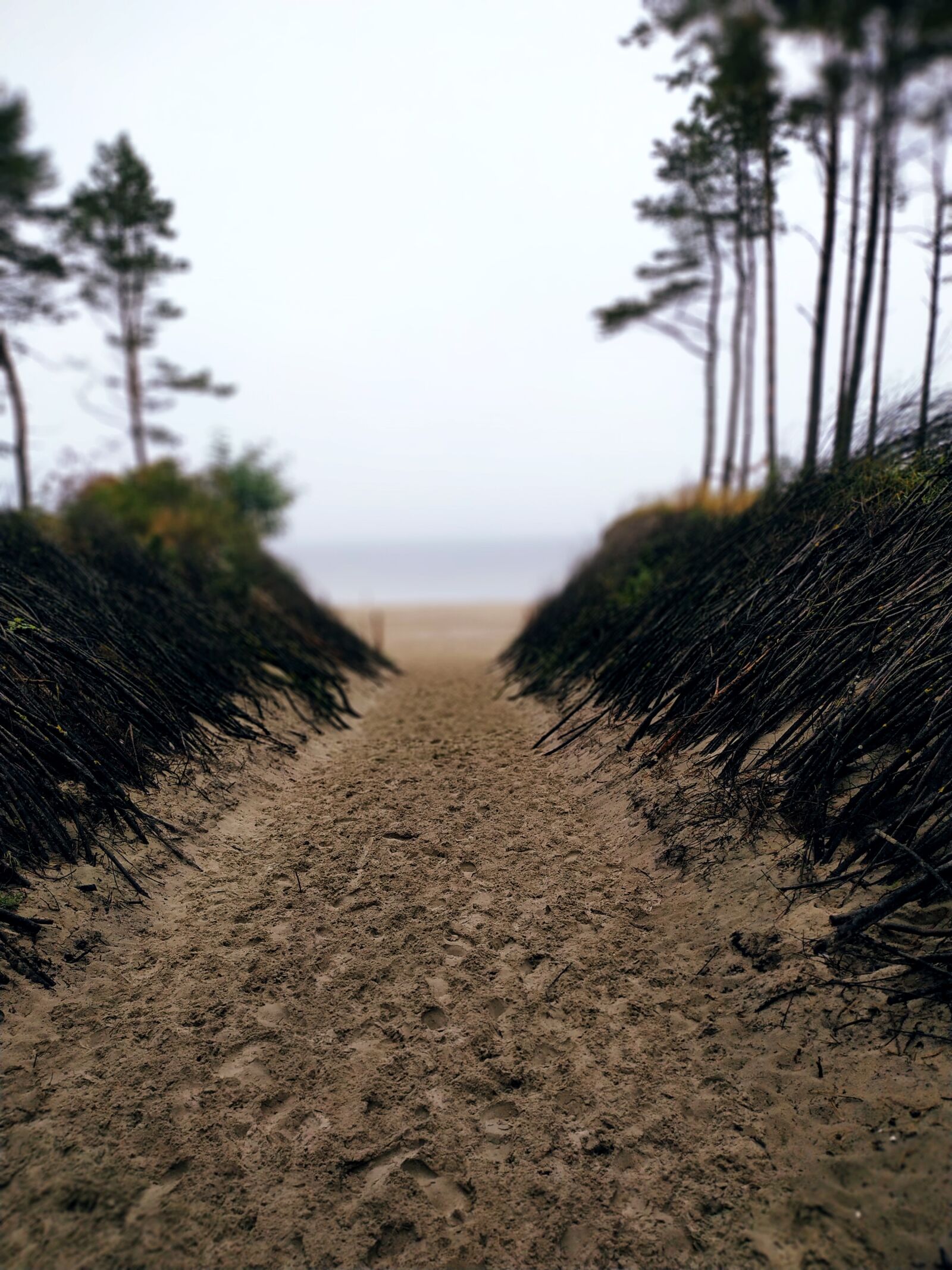 Xiaomi Redmi Note 6 Pro sample photo. Sea, the baltic sea photography