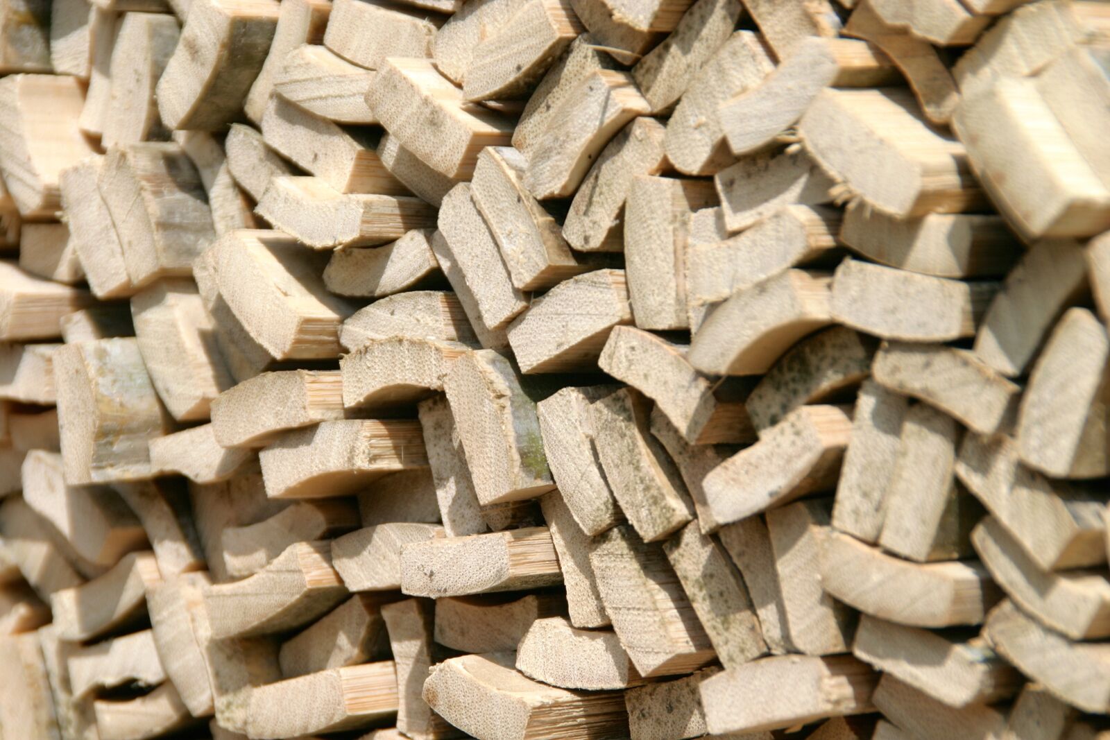 Canon EOS 10D sample photo. Wood, stack, fire photography