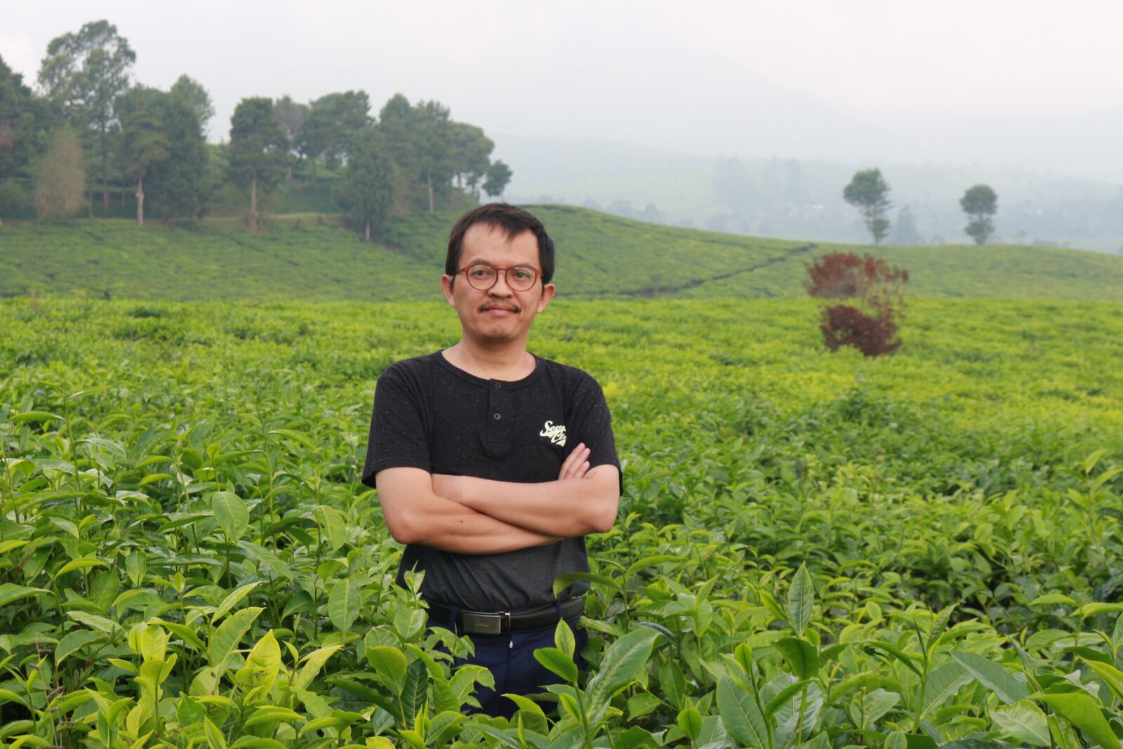 Canon EOS 700D (EOS Rebel T5i / EOS Kiss X7i) sample photo. Tree, tea, field photography