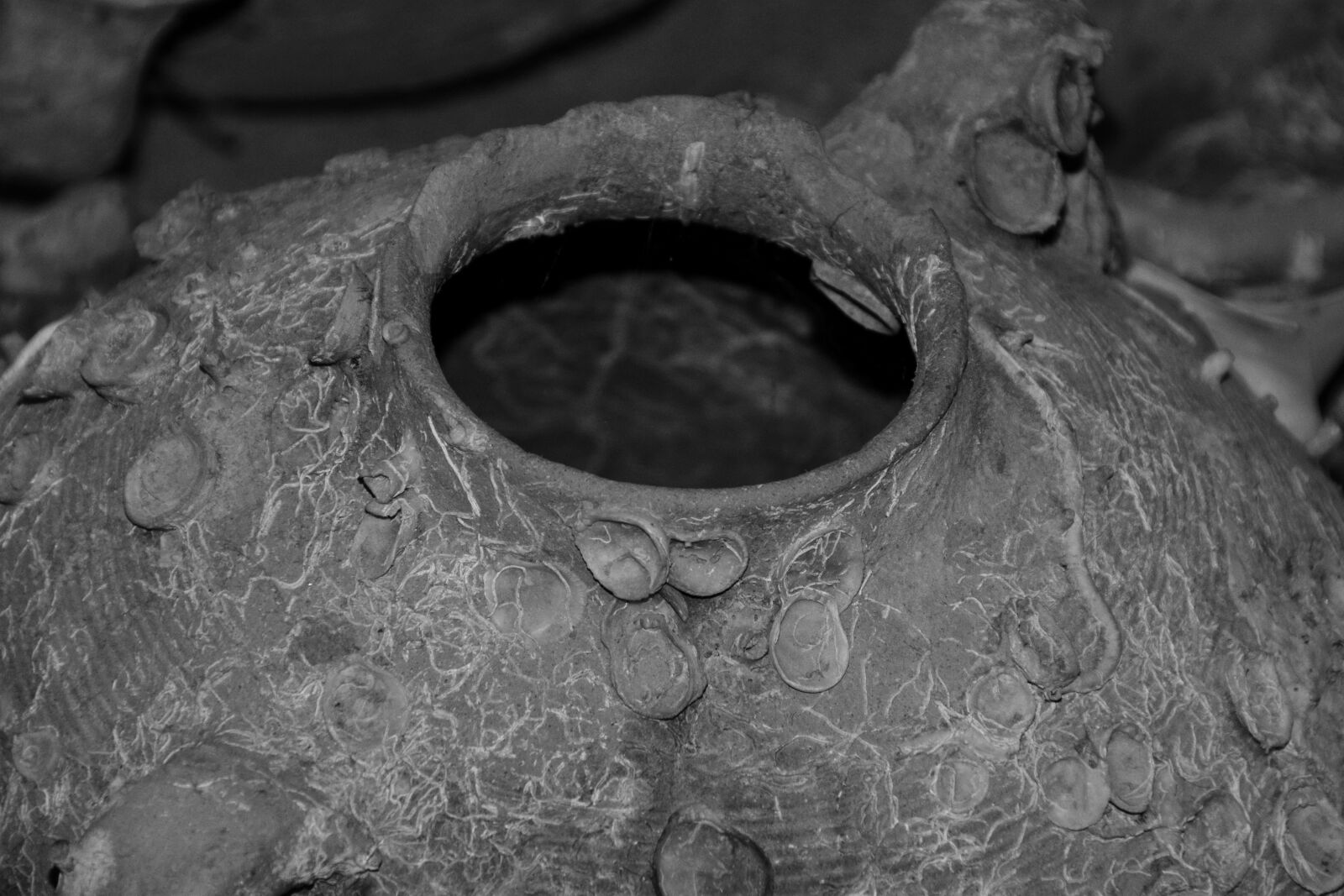 Nikon D3300 sample photo. Amphora, old, historically photography