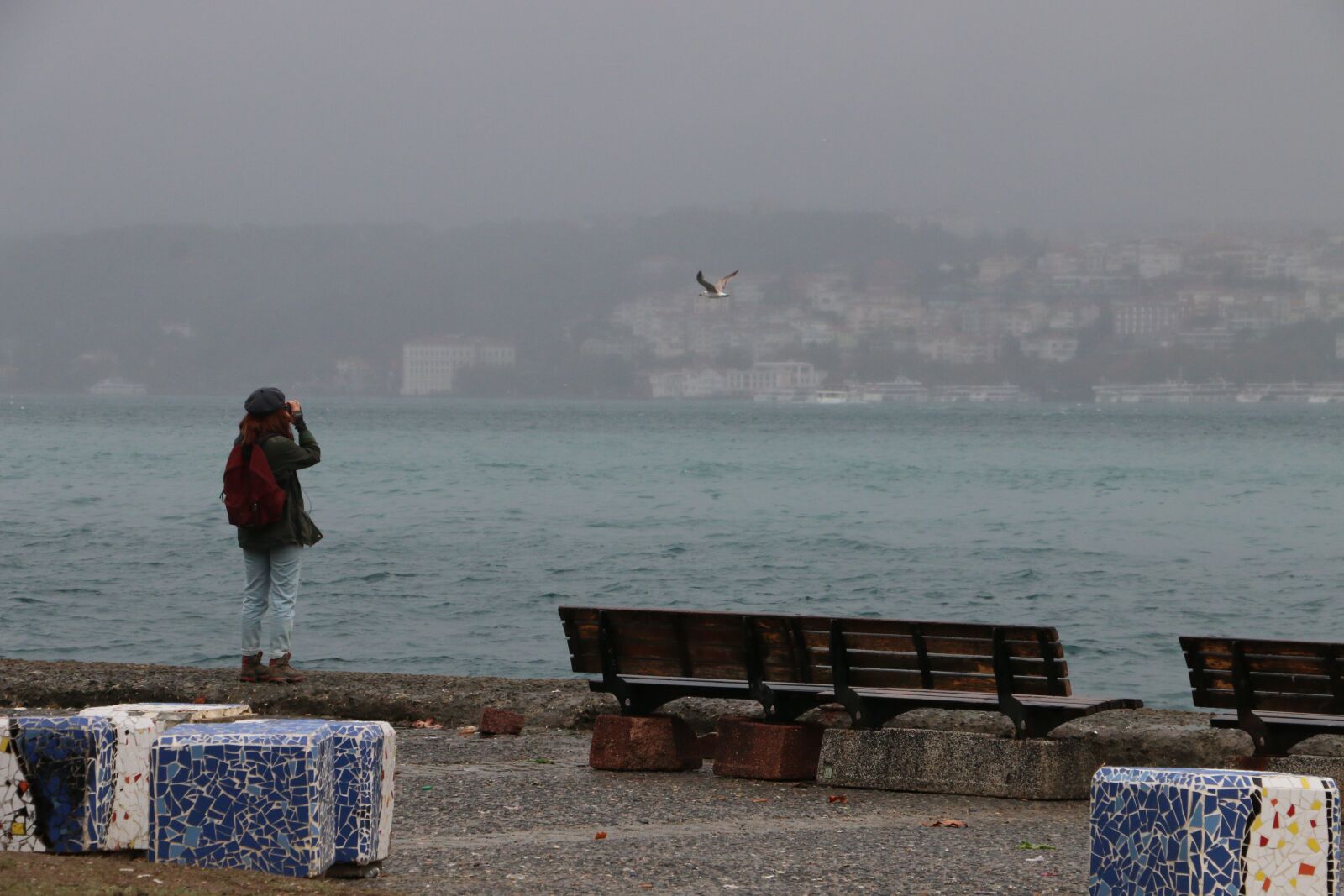 Canon EOS 70D sample photo. Sea, bird, water photography