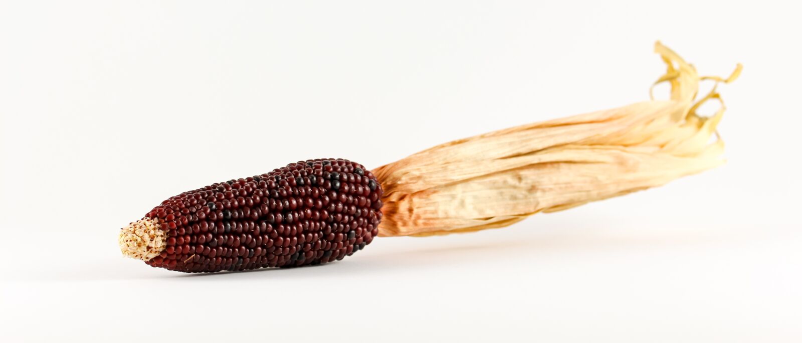 Canon EOS 700D (EOS Rebel T5i / EOS Kiss X7i) sample photo. Corn, ornamental corn, cereals photography