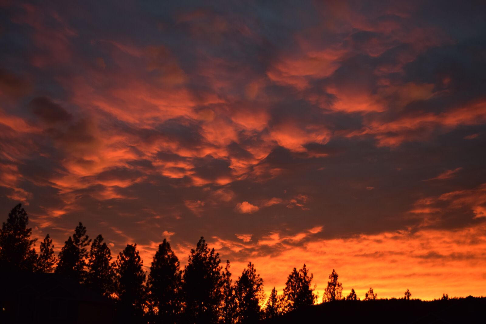 Nikon D5300 sample photo. Sunset, sky, horizon photography