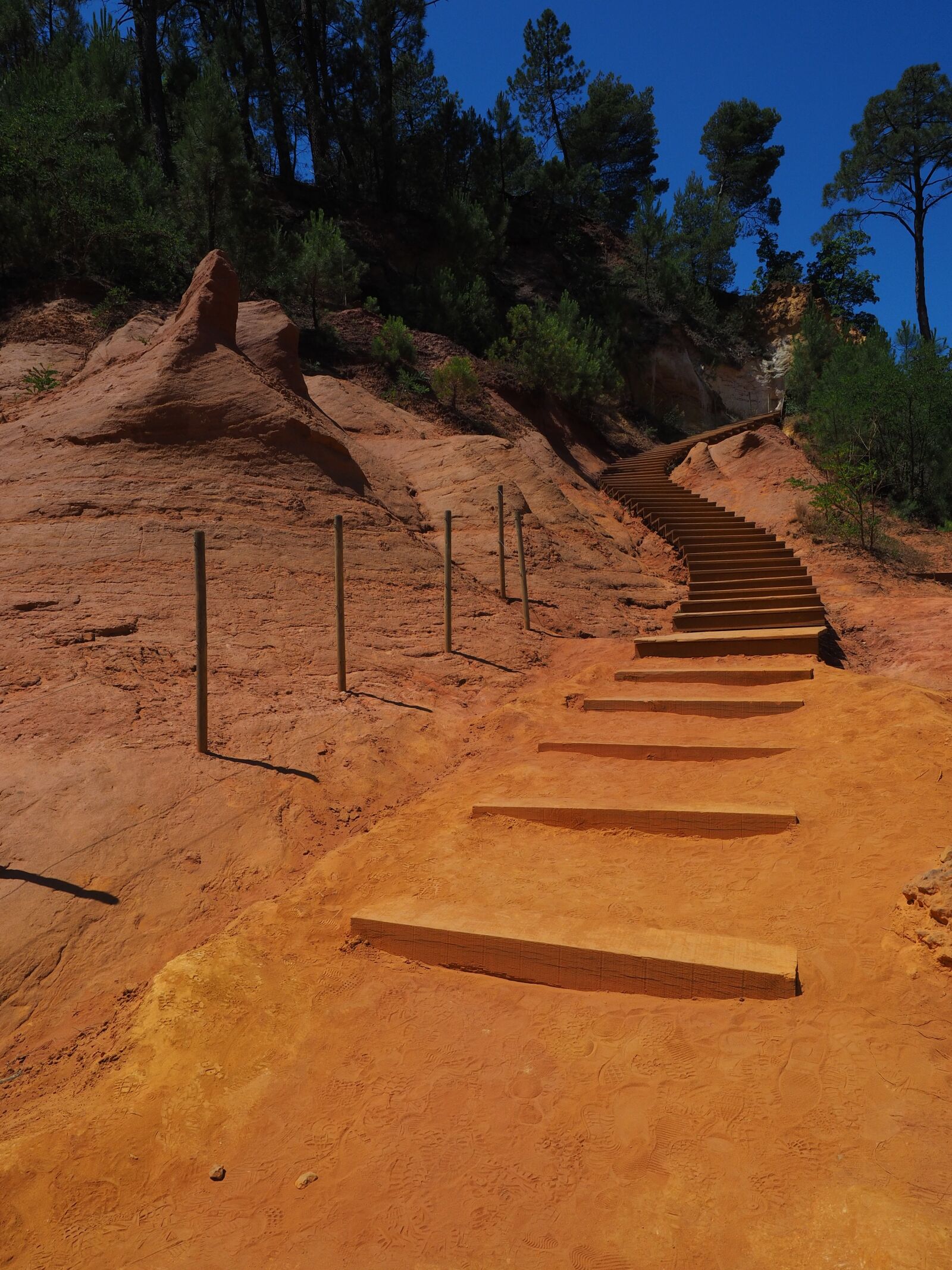 Olympus OM-D E-M1 + Olympus M.Zuiko Digital ED 12-40mm F2.8 Pro sample photo. Stairs, gradually, nature park photography