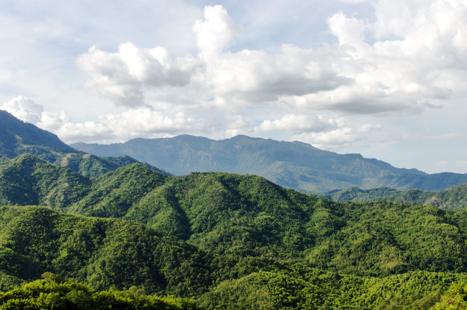 Nikon D3200 sample photo. Sky, background, outdoor photography