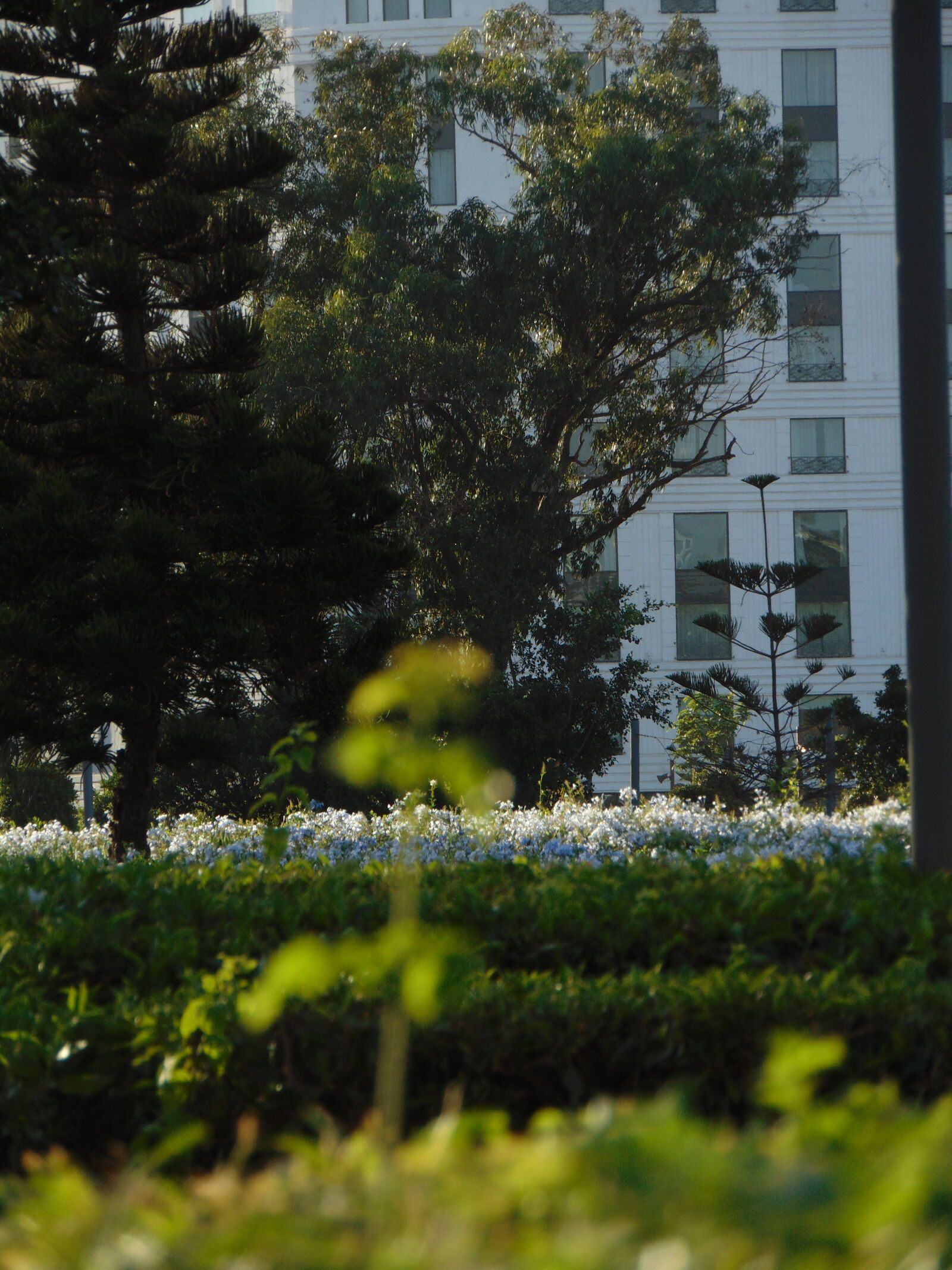 Sony Cyber-shot DSC-H300 sample photo