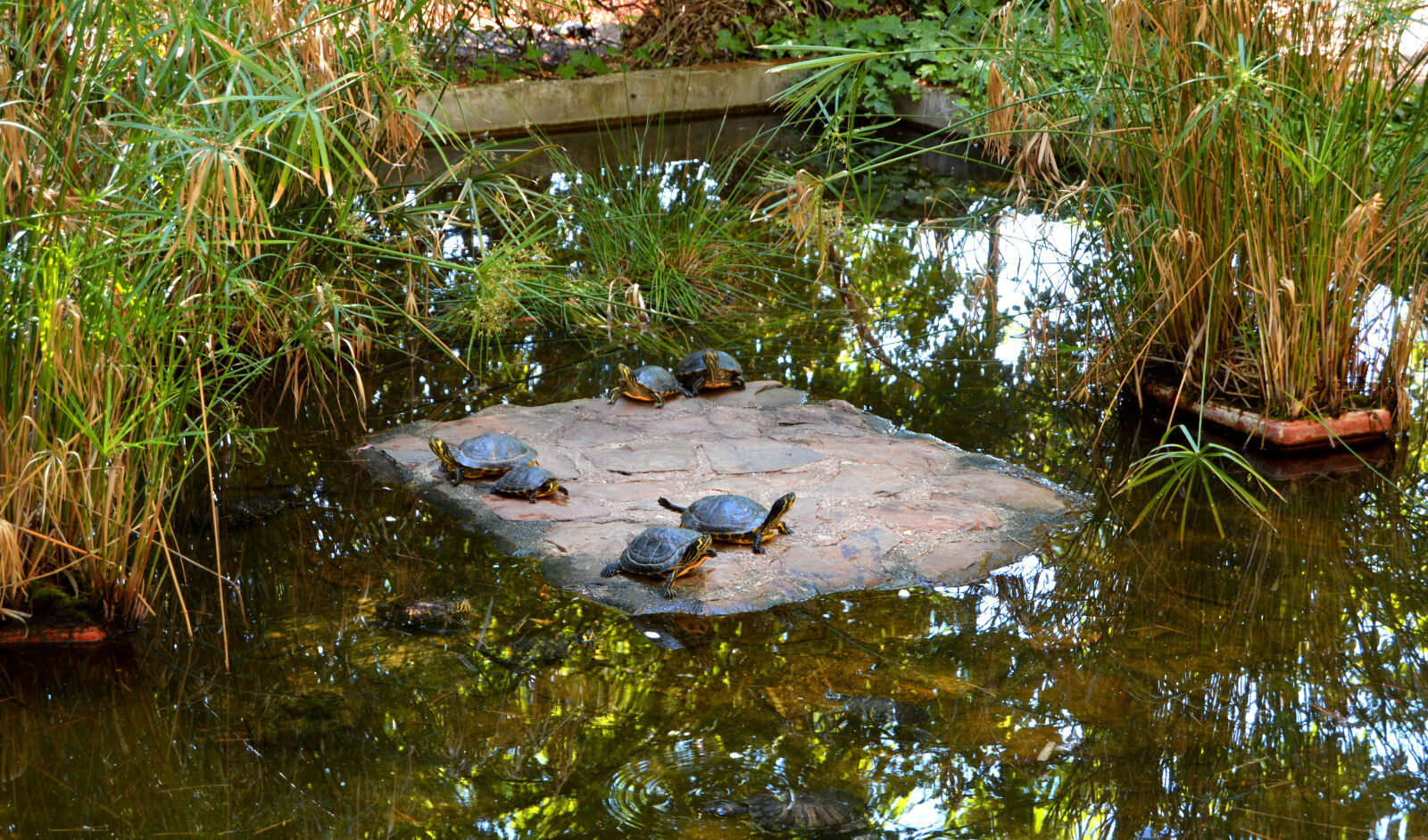 Nikon D3200 sample photo