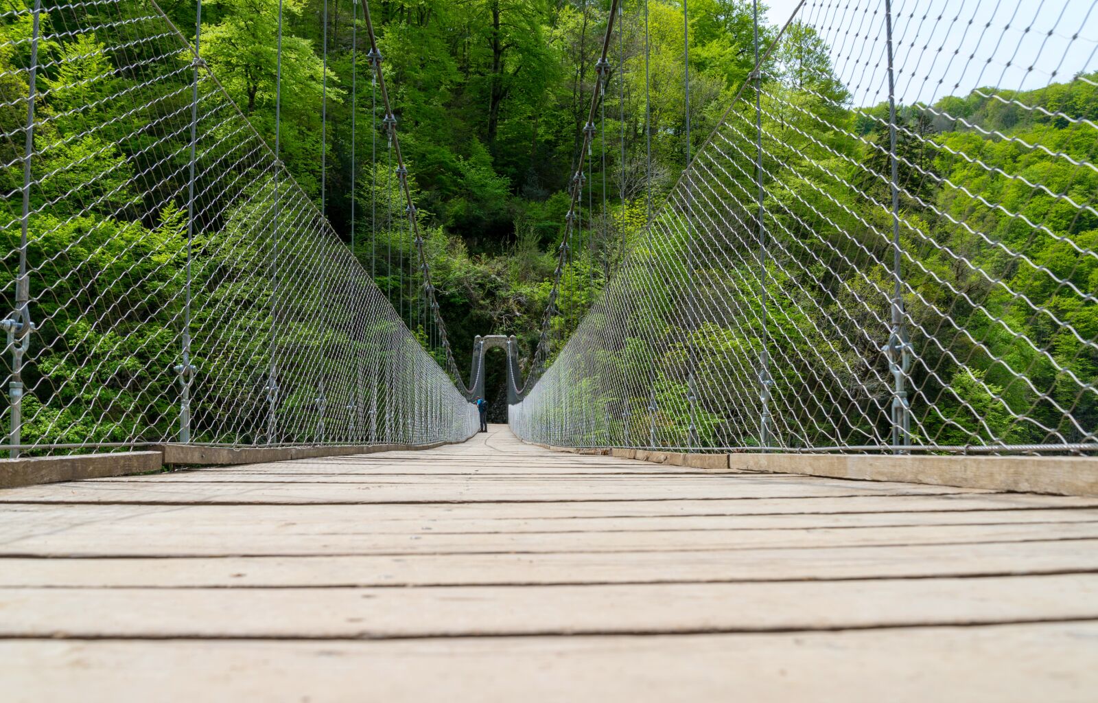 Nikon D610 sample photo. Bridge, wooden, green photography