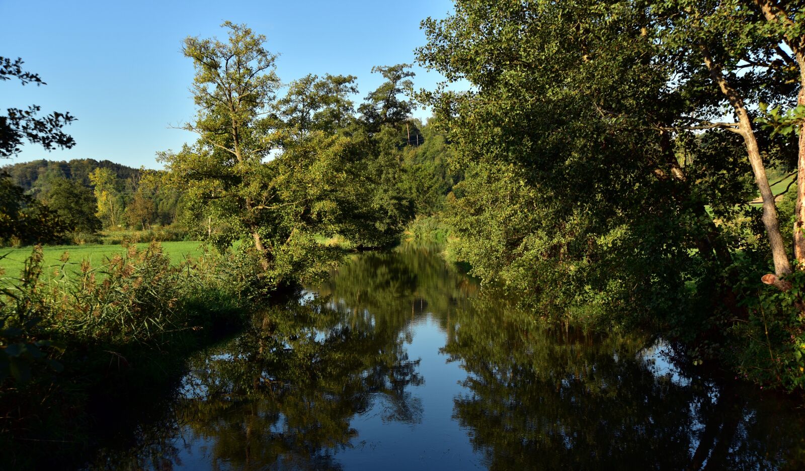 Nikon D750 sample photo. River, wetland, humid forest photography