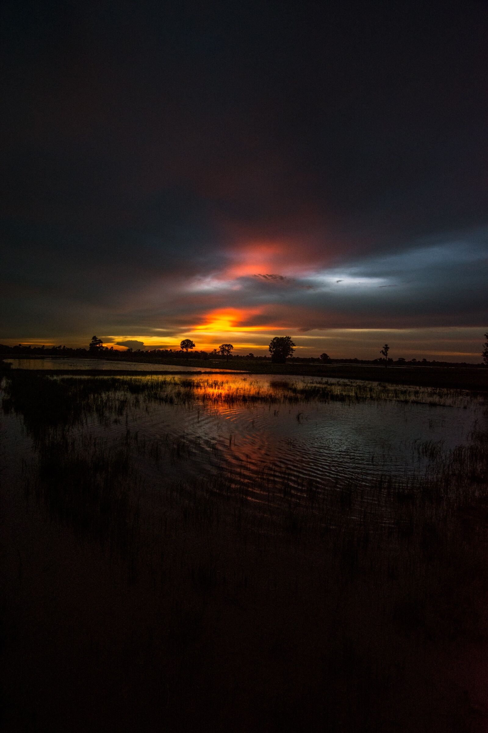 Tokina AT-X Pro 11-16mm F2.8 DX II sample photo. Cornfield, outside of the photography