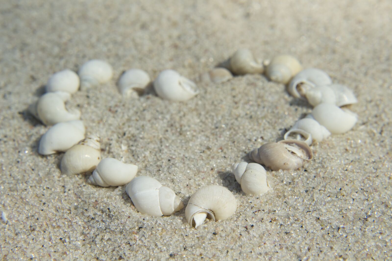 Canon EOS 700D (EOS Rebel T5i / EOS Kiss X7i) sample photo. Beach, sand, the coast photography