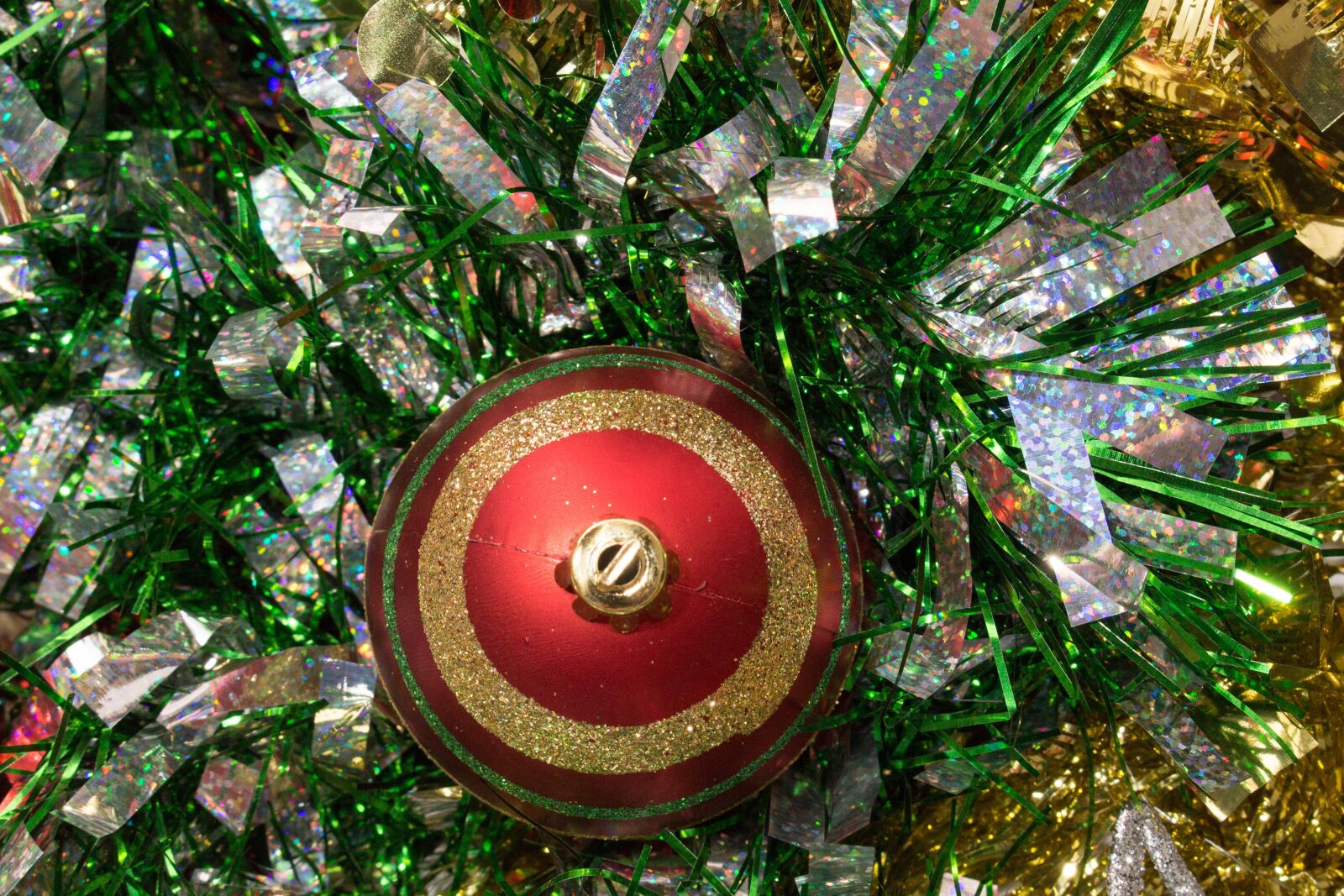 Canon EOS 700D (EOS Rebel T5i / EOS Kiss X7i) sample photo. Christmas, sign, border photography