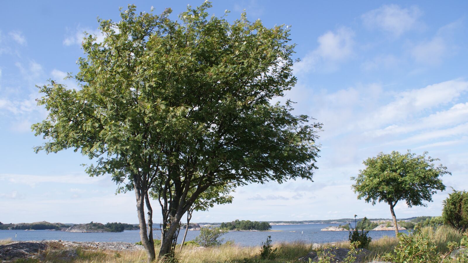 Sony Alpha DSLR-A300 sample photo. Landscape, sky, sea photography