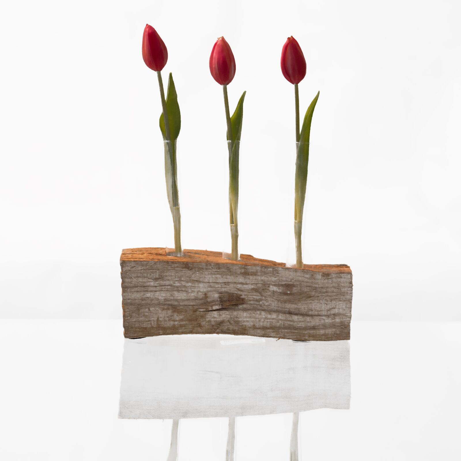Canon EOS 600D (Rebel EOS T3i / EOS Kiss X5) sample photo. Flower, nature, tulip photography