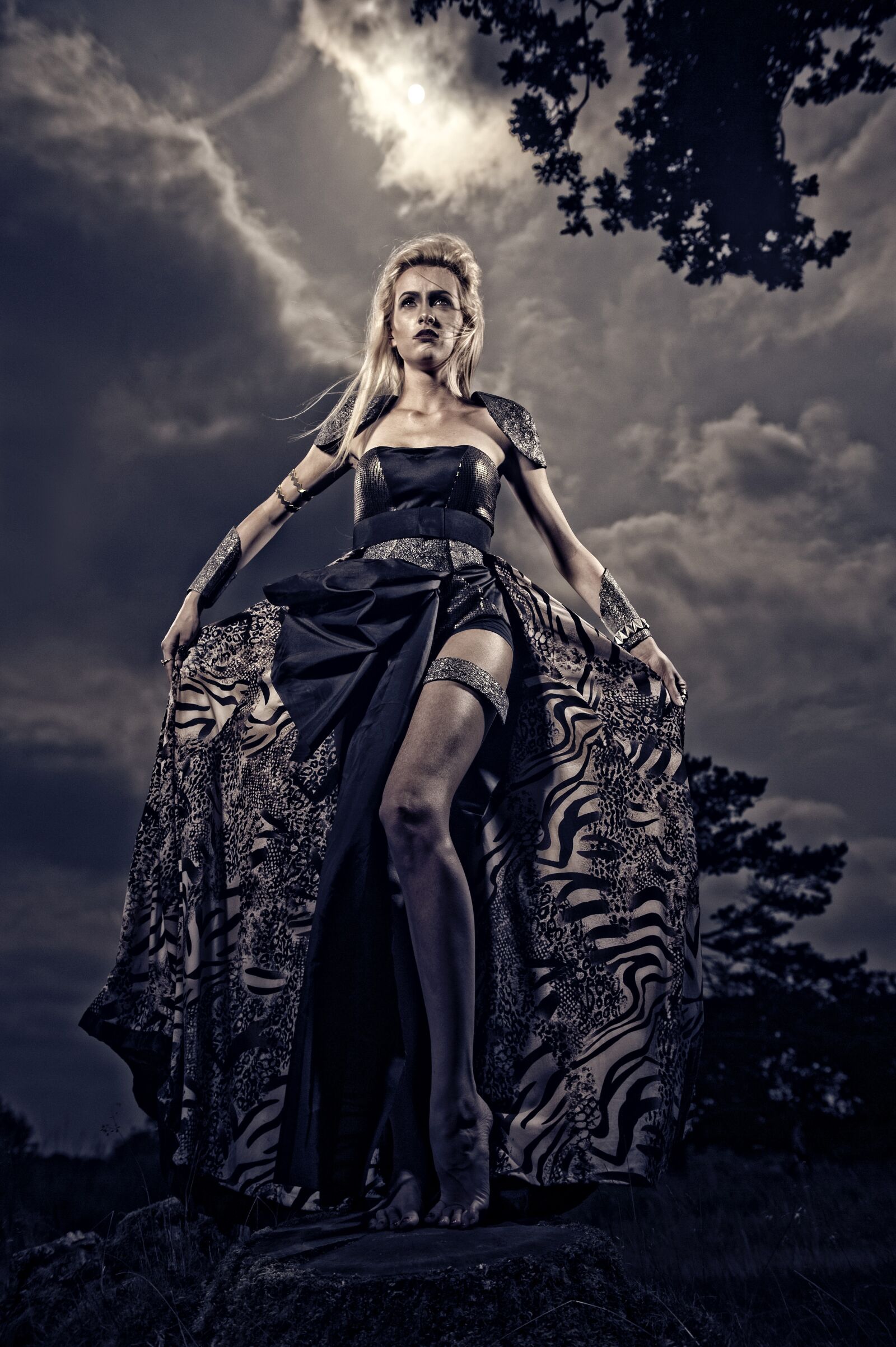Nikon D3 sample photo. Warrior, fashion, fantasy photography