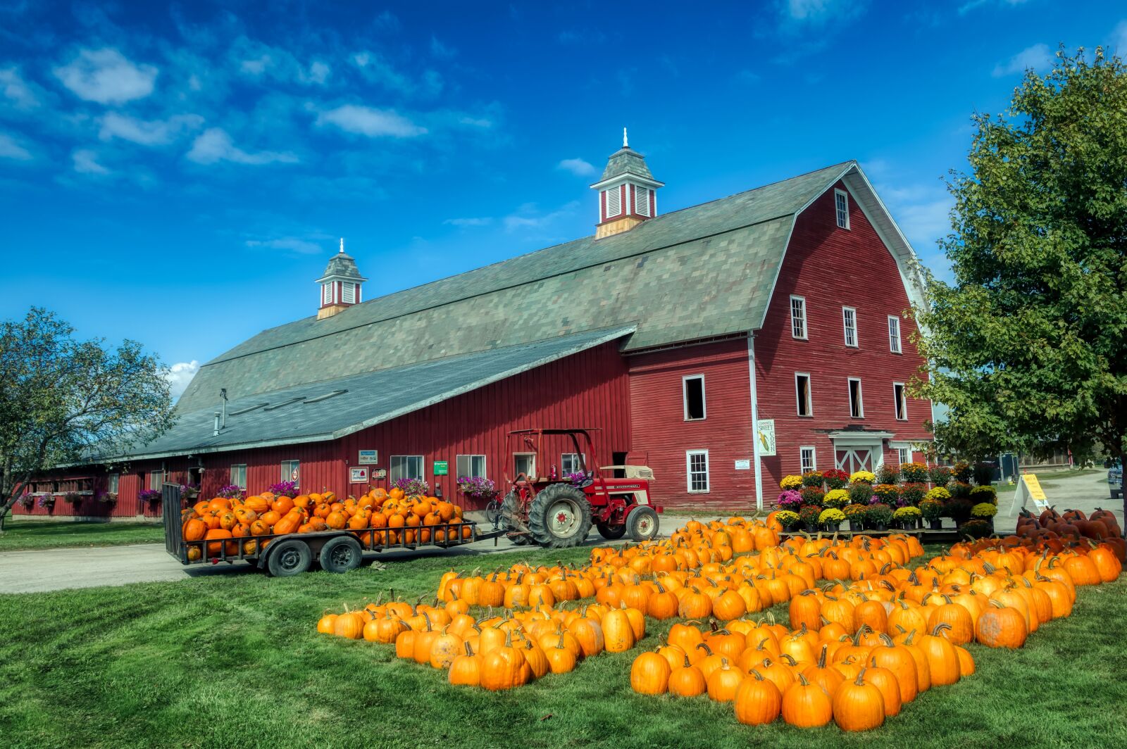 Canon EOS 5DS R + Canon EF 24-105mm F4L IS USM sample photo. Vermont, new england, america photography