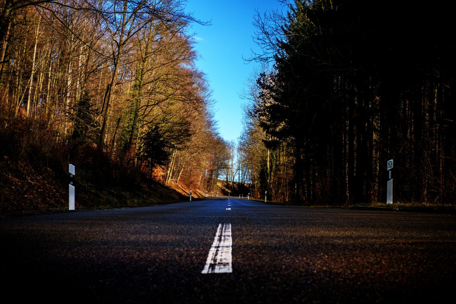 Fujifilm X-T2 + Fujifilm XF 35mm F2 R WR sample photo. Road, forest, trees photography
