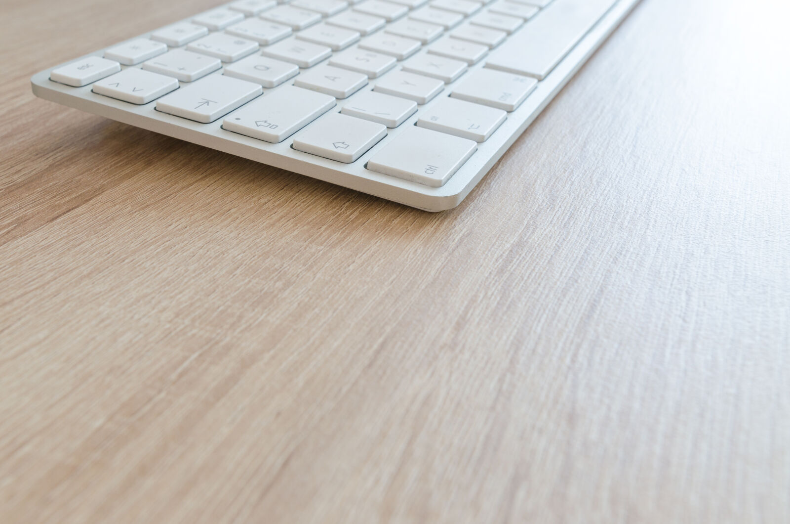 Nikon D5100 sample photo. Above, background, blank, business photography