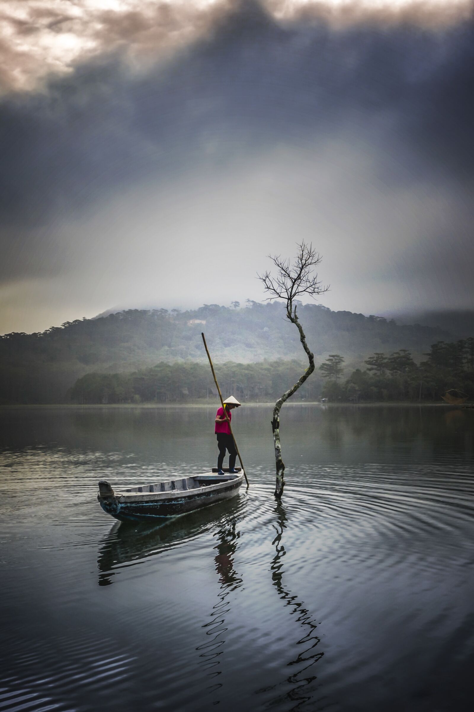 Hasselblad L1D-20c sample photo. Tree, fisherman, fishing photography