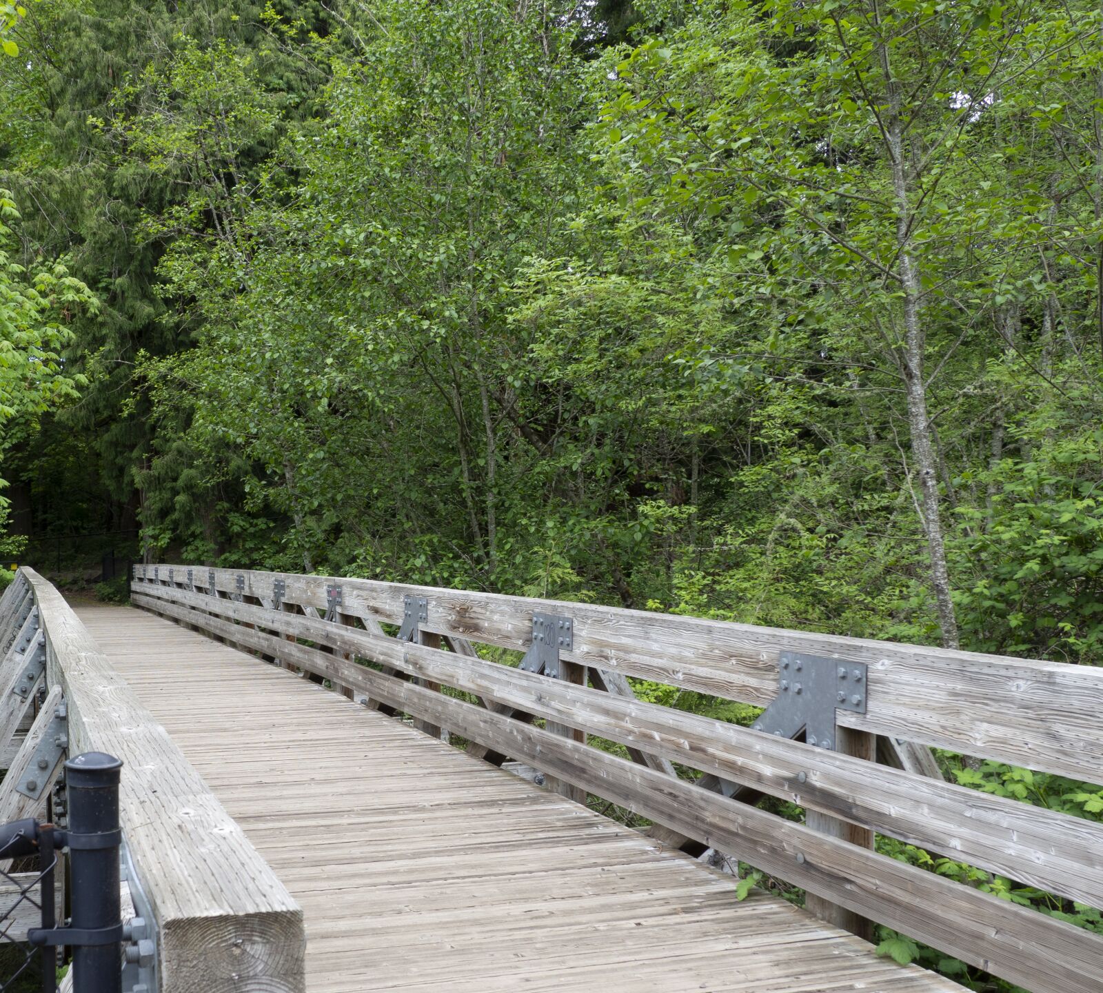 Olympus OM-D E-M10 II sample photo. Bridge, wood, park photography