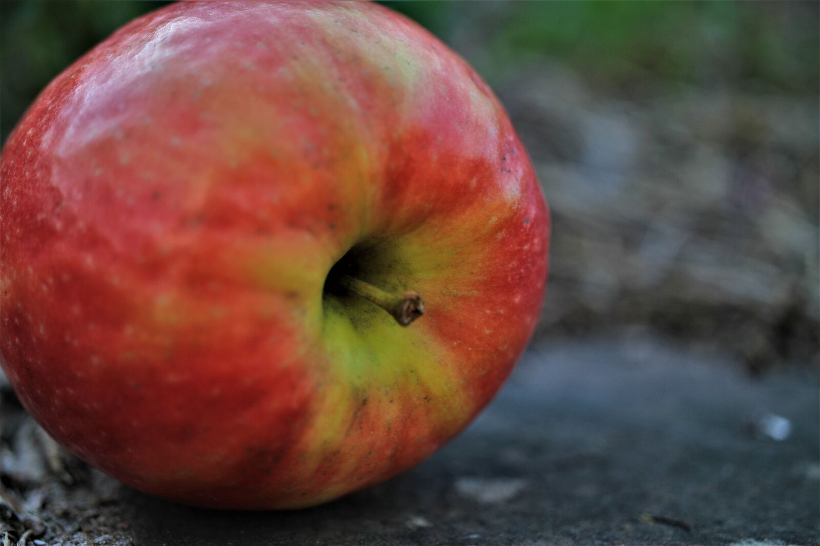 Canon EOS 7D sample photo. Apple, red, fruit photography
