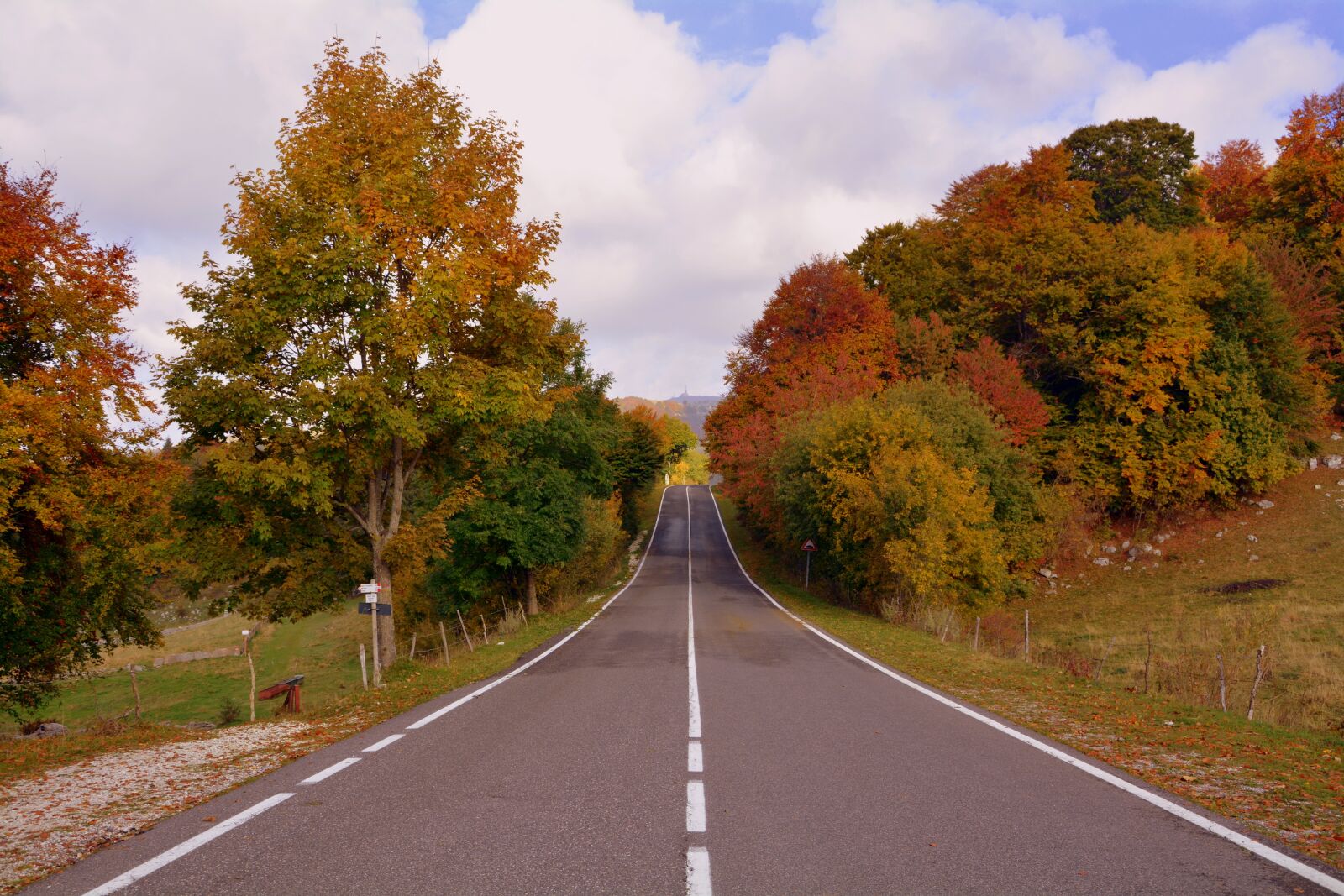 Nikon D7100 sample photo. Road, trees, autumn photography