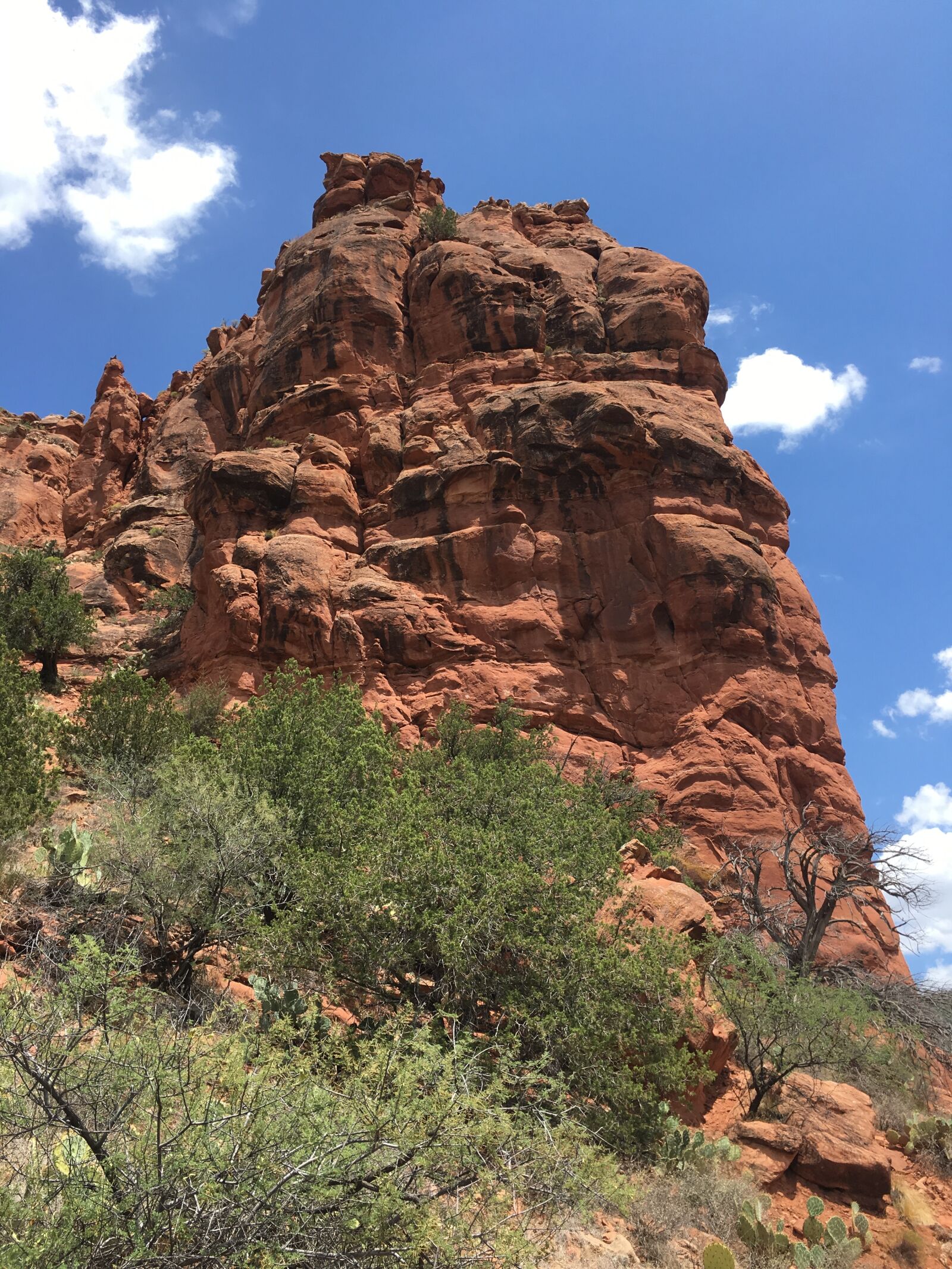 Apple iPhone 6s sample photo. Sedona, red, rock photography