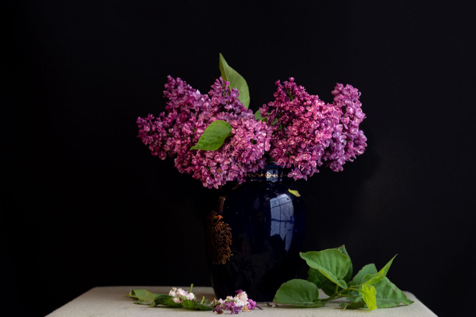 Nikon D750 sample photo. Lilac, still life, purple photography