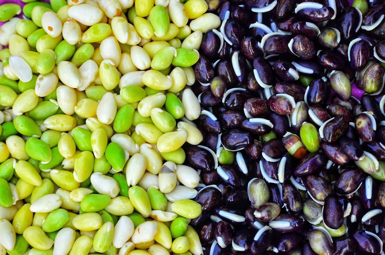 Nikon D5100 sample photo. Maize, mixed, food photography