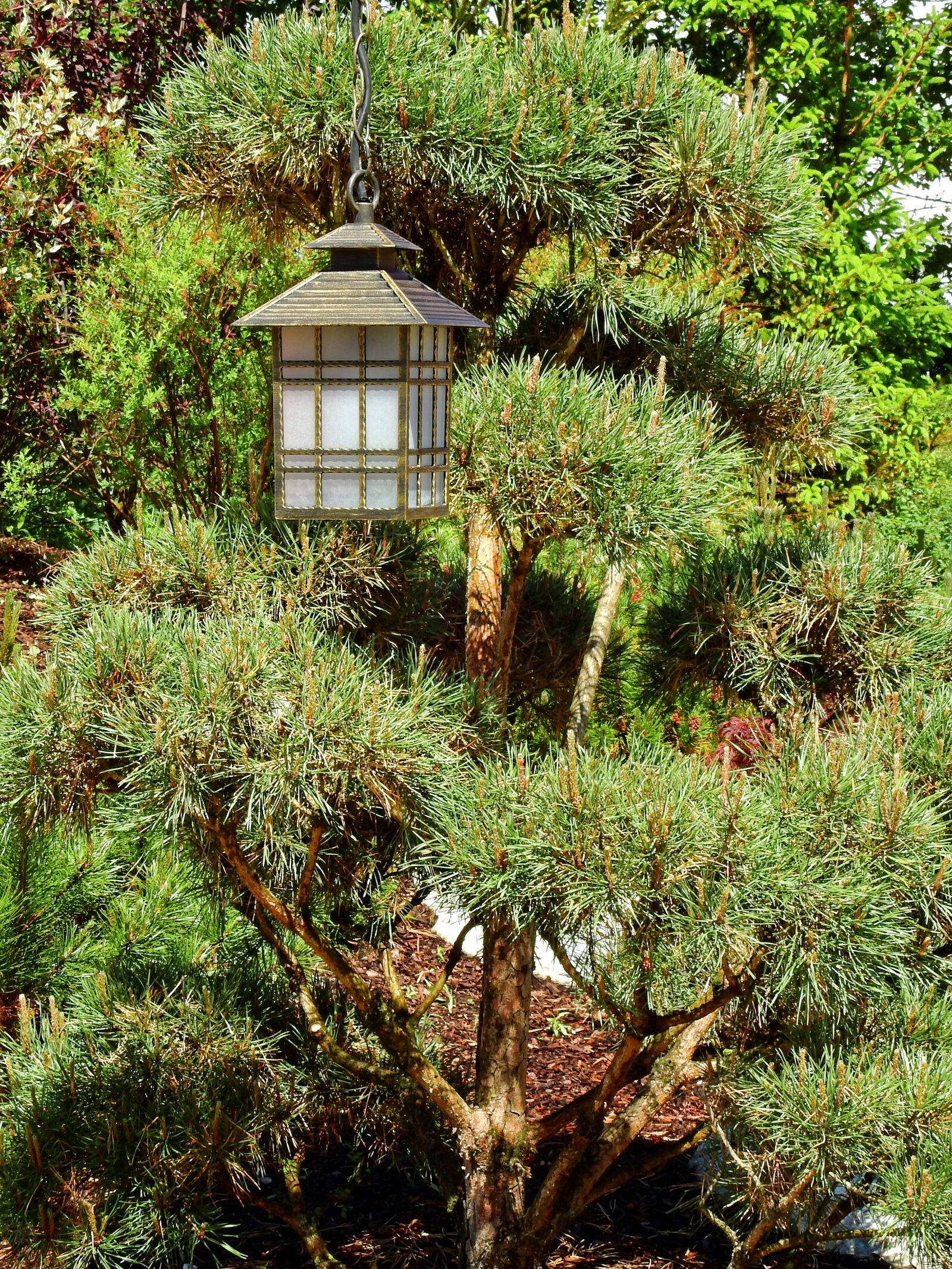 Nikon Coolpix P900 sample photo. Japan, garden japanese garden photography