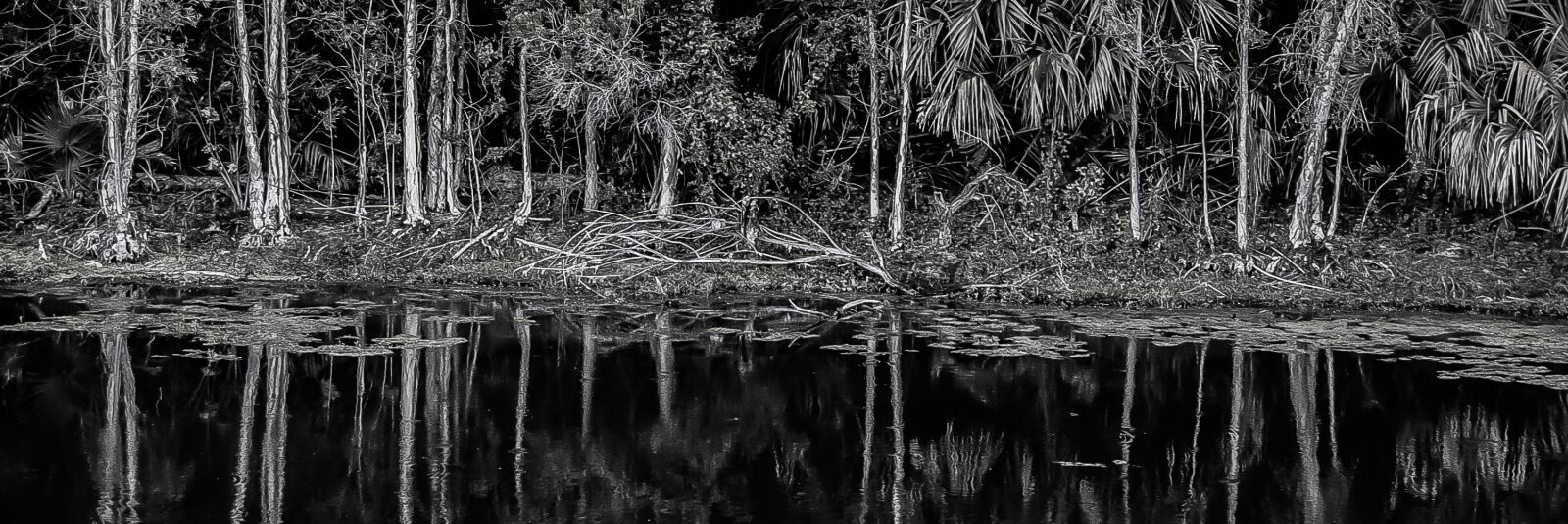 Nikon D50 sample photo. Trees, reflection, river photography