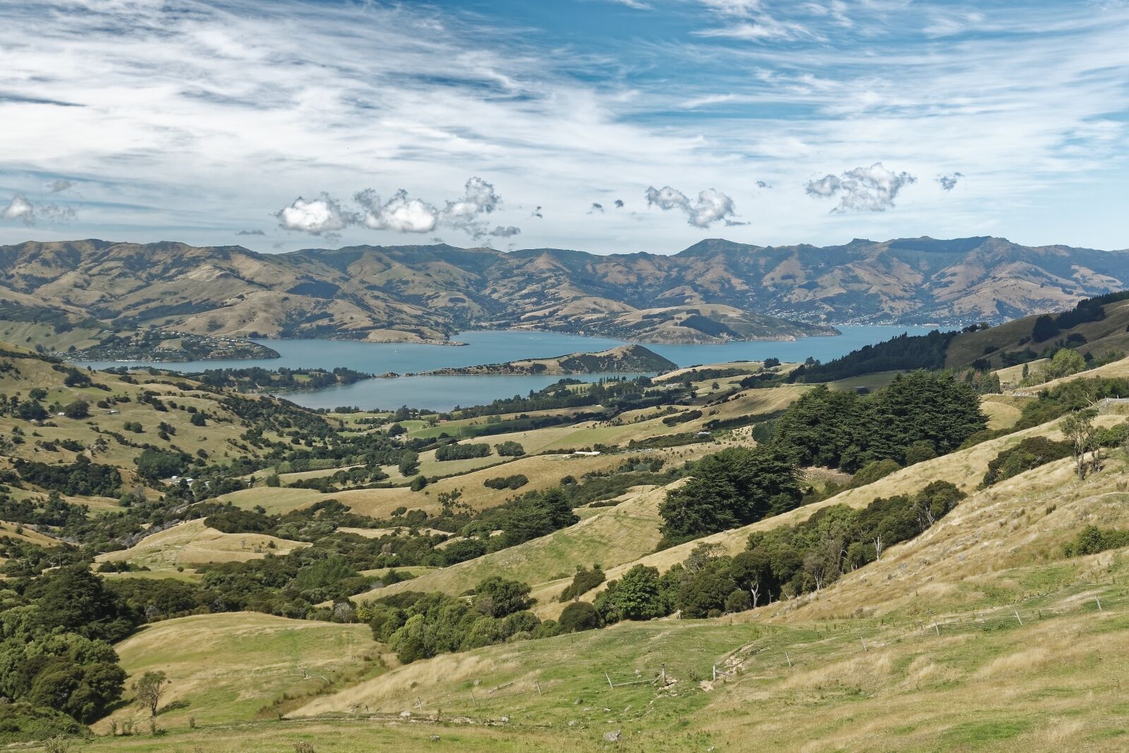 Nikon D500 sample photo. New zealand, banks peninsula photography