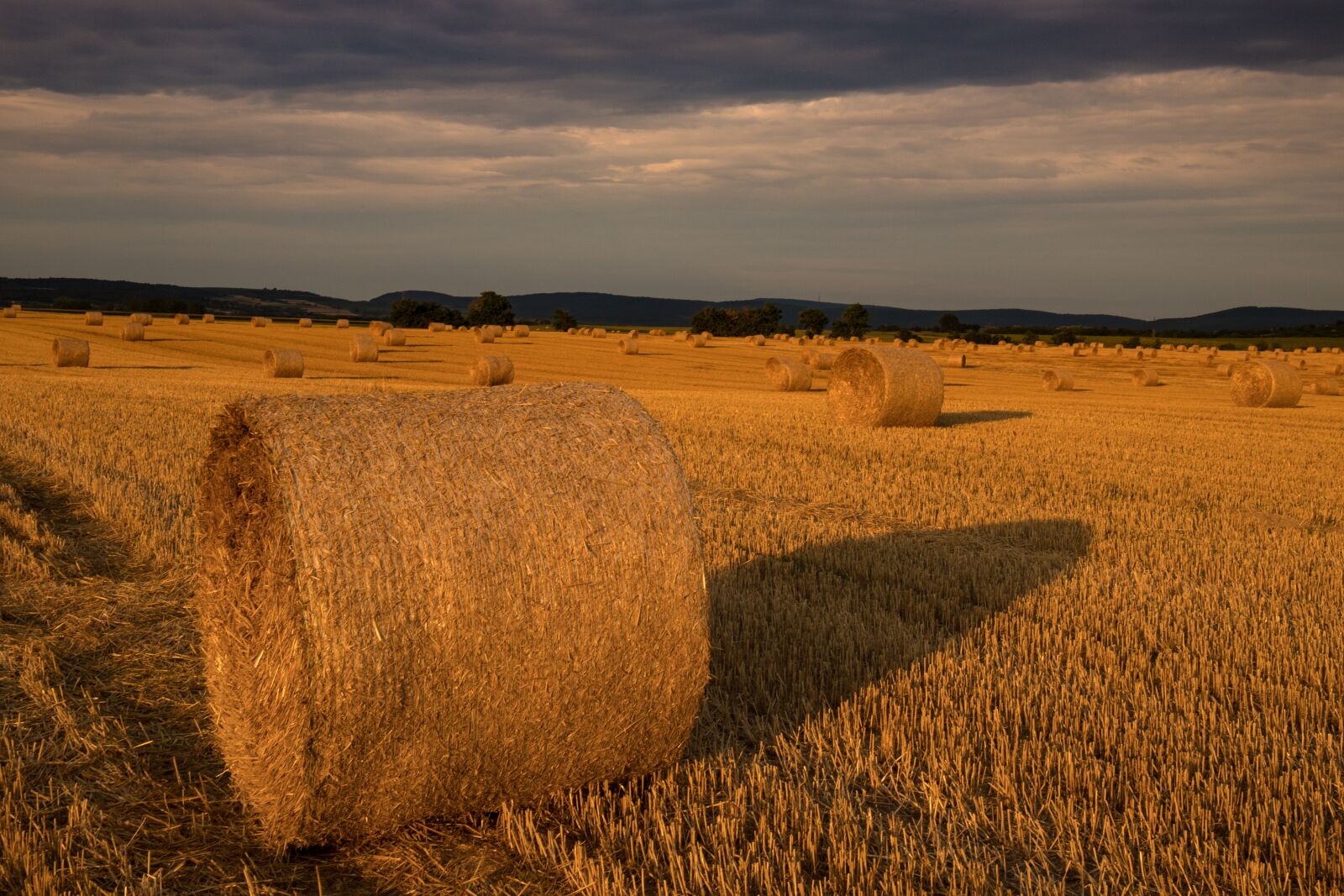 Canon EF 24-70mm F4L IS USM sample photo. Stubble, bale, straw photography