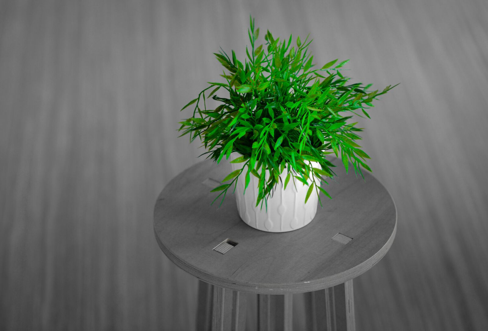 Nikon D610 sample photo. Plant, room, green photography
