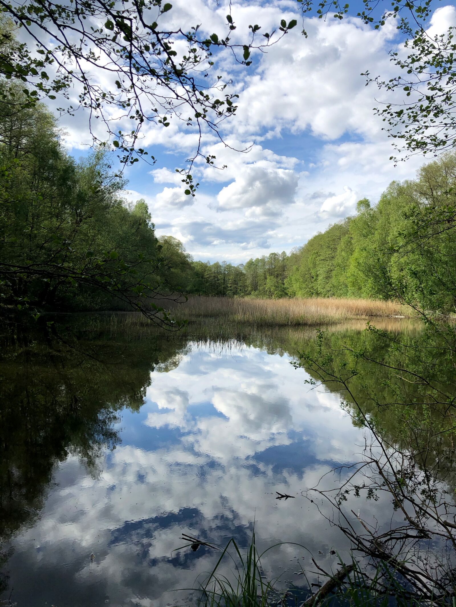 Apple iPhone 8 sample photo. Pools, lake, pond photography