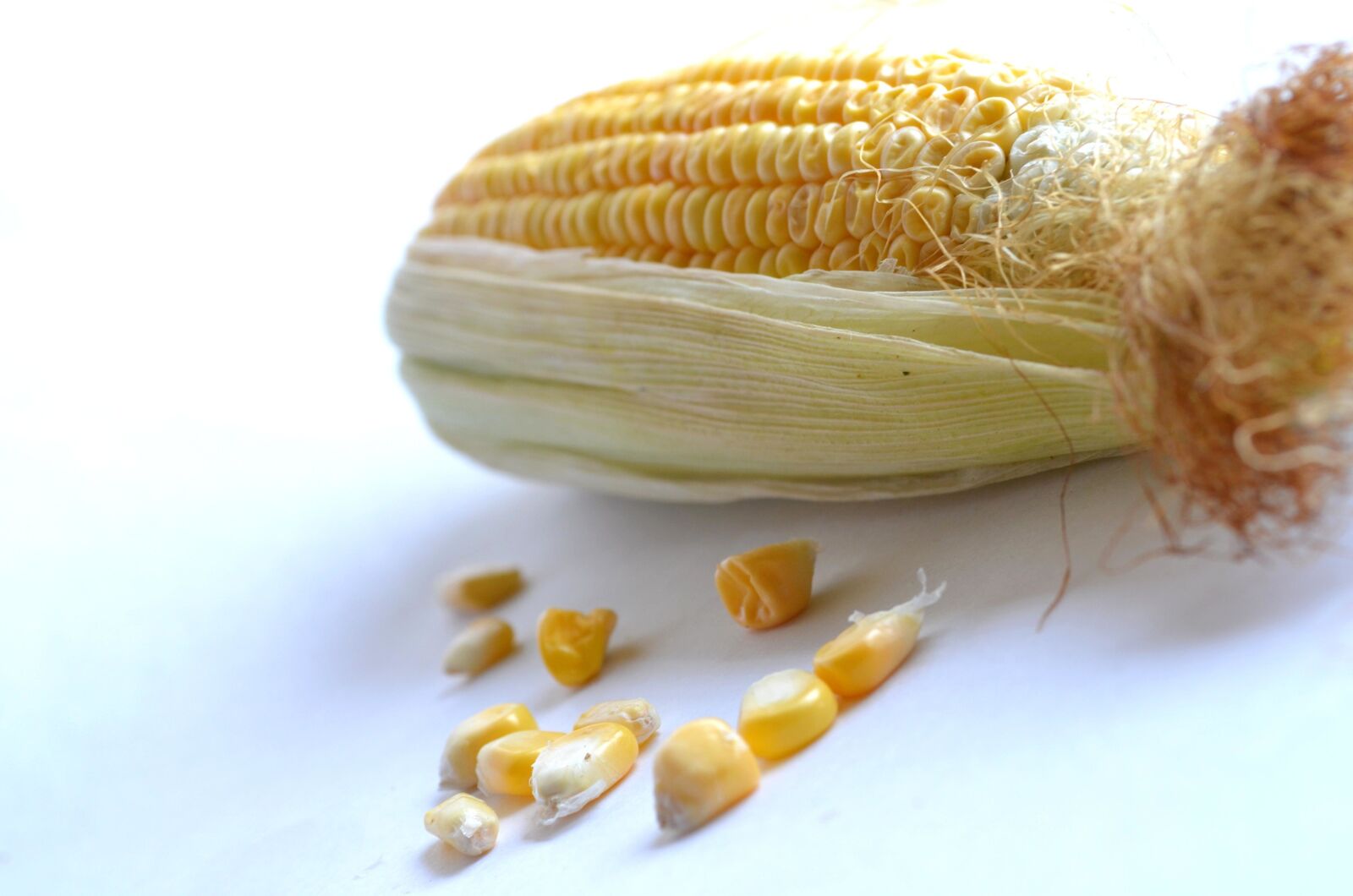 Nikon D5100 sample photo. Cord, seed, food, kernel photography